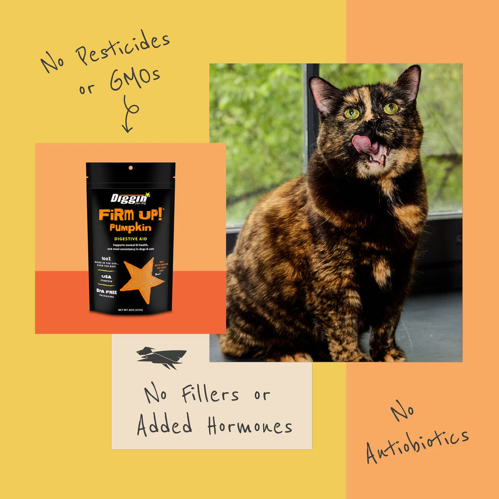 Diggin Your Dog Firm Up Pumpkin Digestive Aid for Dogs & Cats