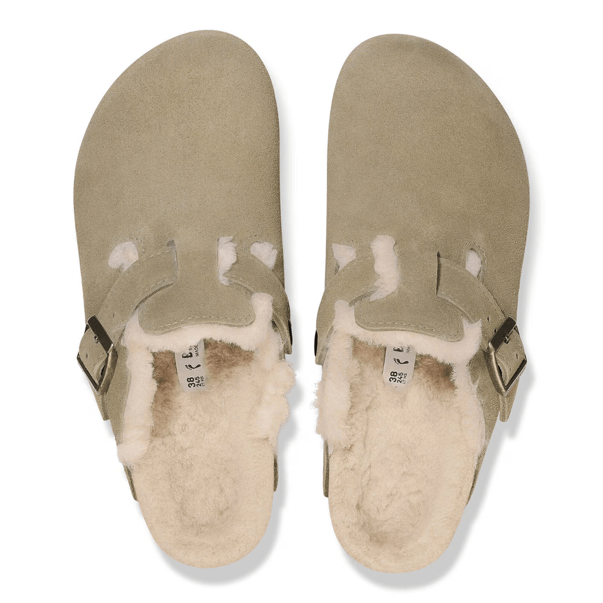 Boston Shearling