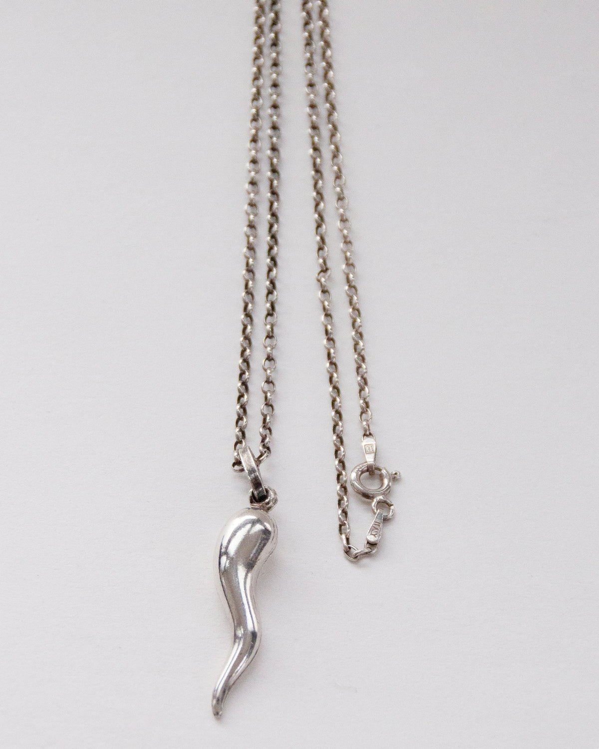 Silver Chain Necklace w/ Horn Charm