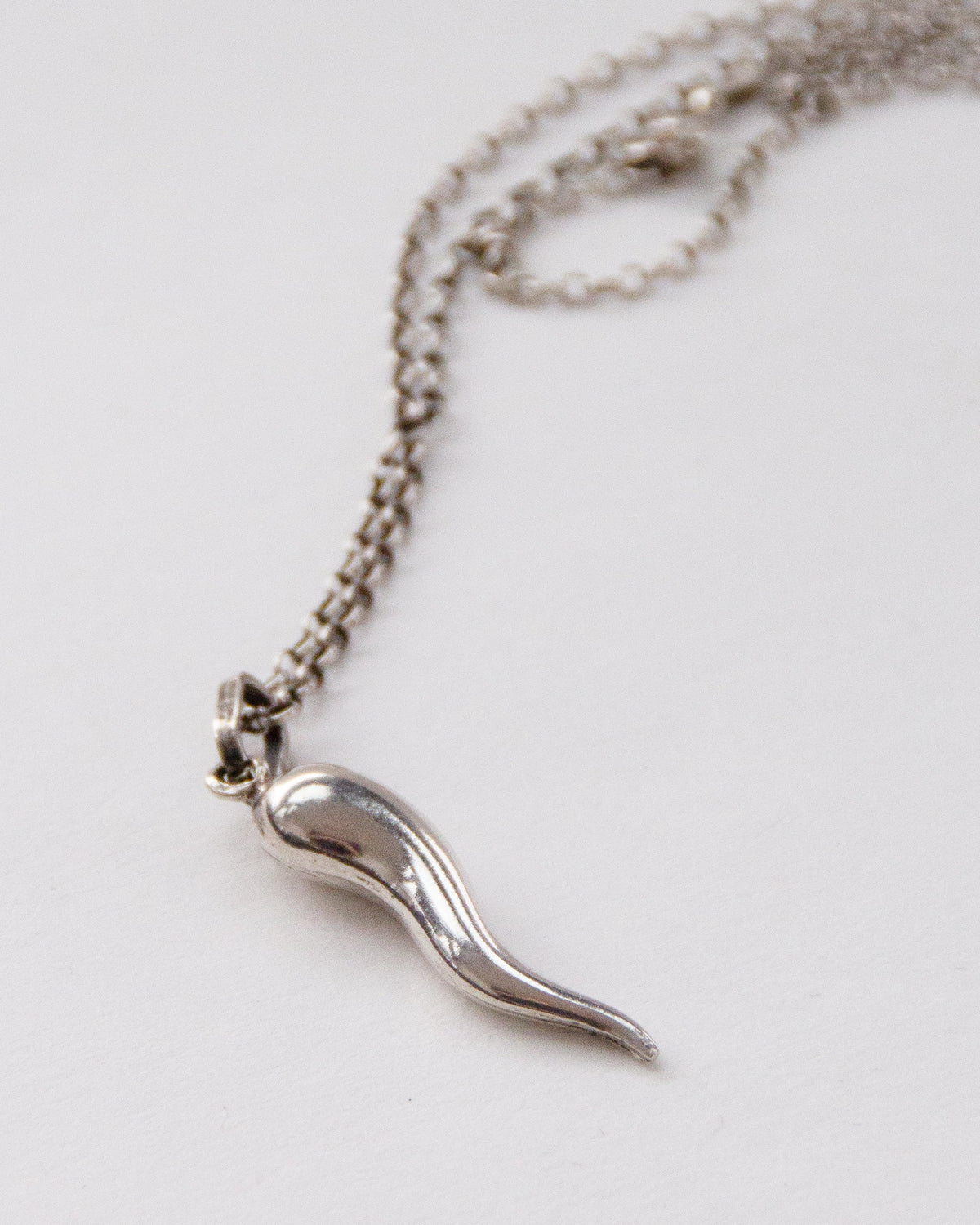Silver Chain Necklace w/ Horn Charm