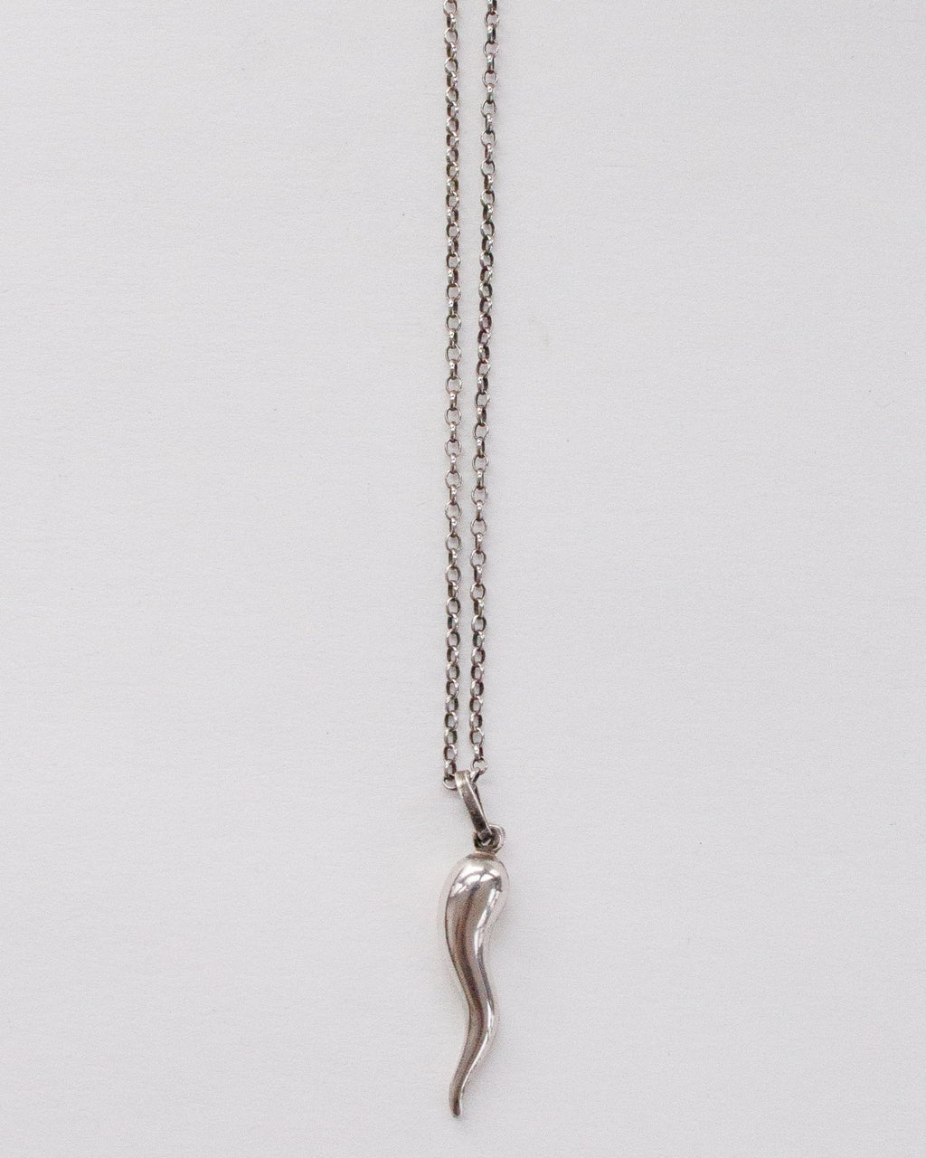 Silver Chain Necklace w/ Horn Charm