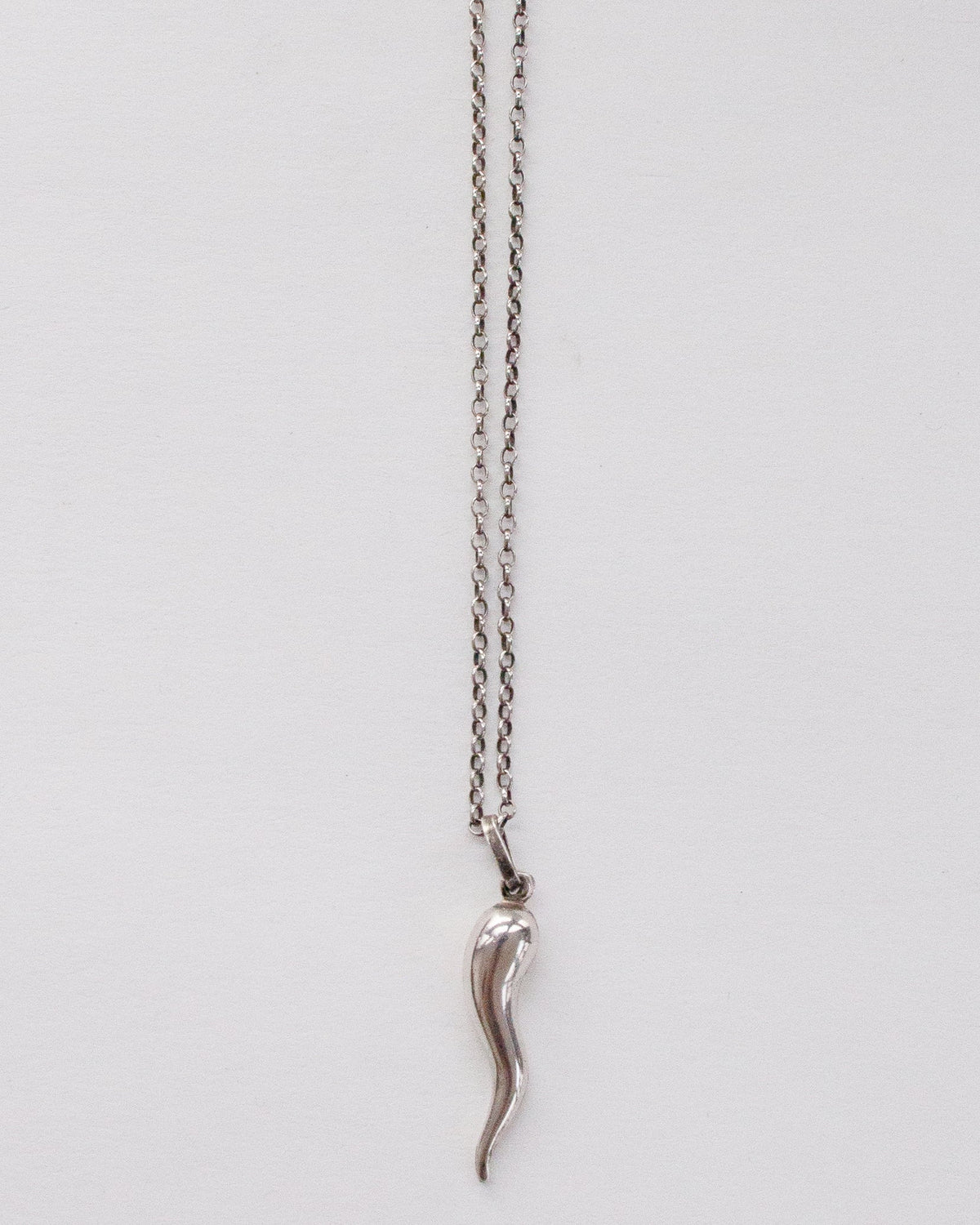 Silver Chain Necklace w/ Horn Charm
