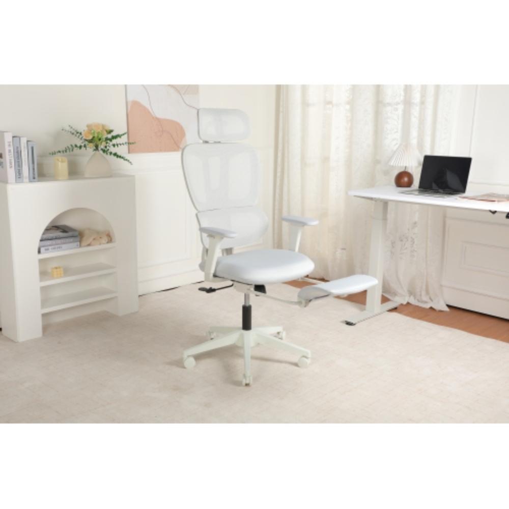 Ergonomic Mesh Office Chair with Footrest