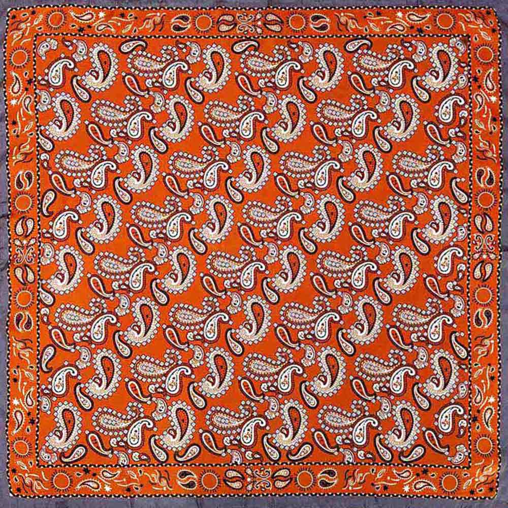 Ornate Border Paisley Pattern Print Square Scarf