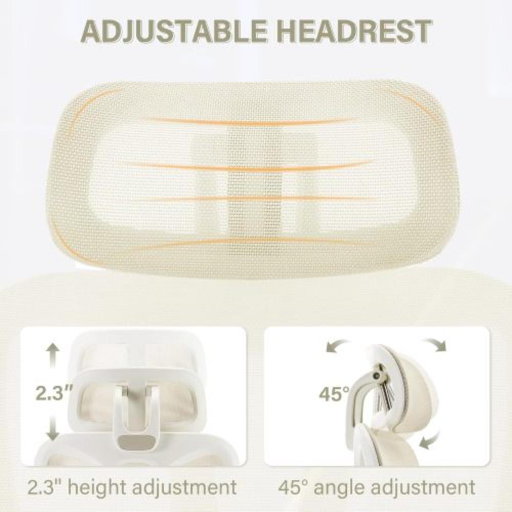 High-Back Mesh Office Chair with Lumbar Support