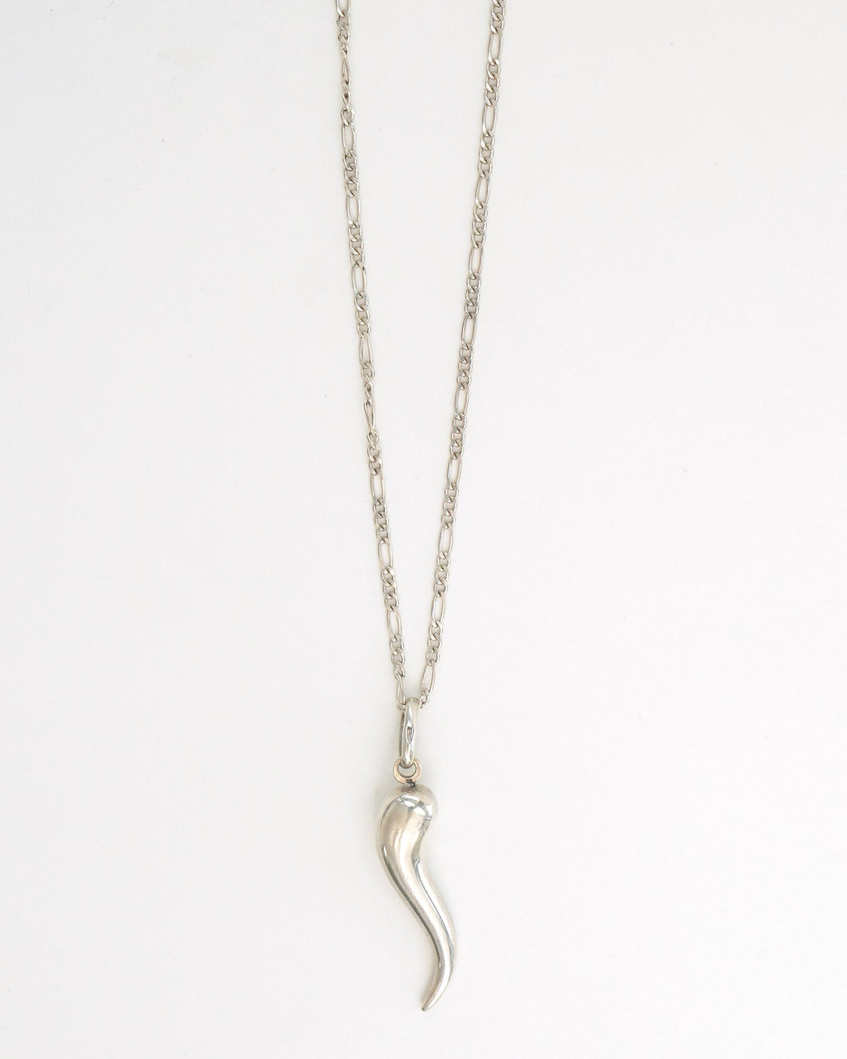 Silver Chain Necklace w/ Horn Charm