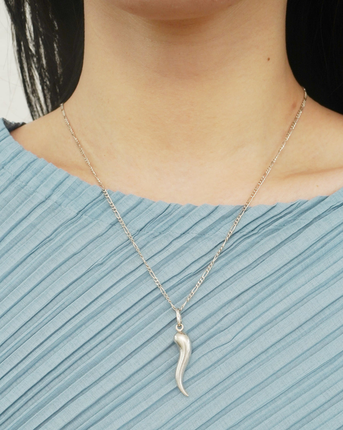 Silver Chain Necklace w/ Horn Charm