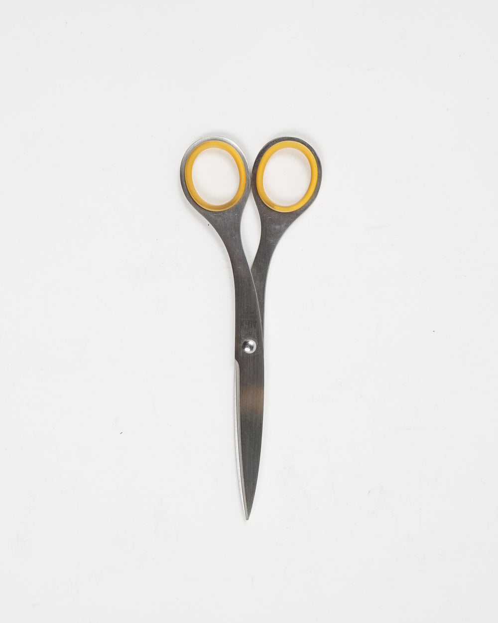 Stainless Scissors