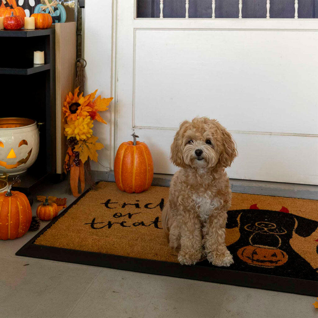 4 Cats & Dogs Wag Your Tail Rectangular Entrance Mat