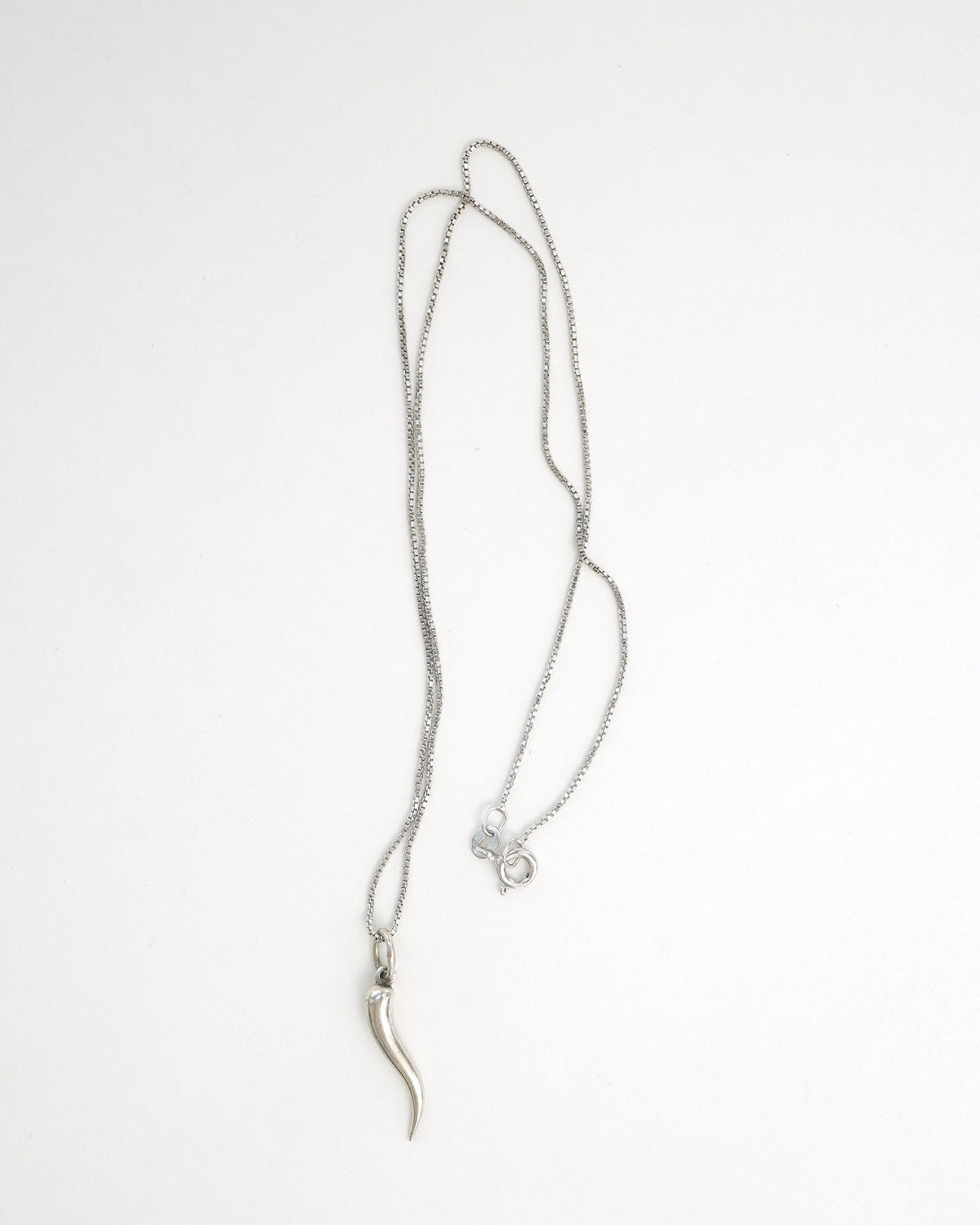 Silver Chain Necklace w/ Horn Charm