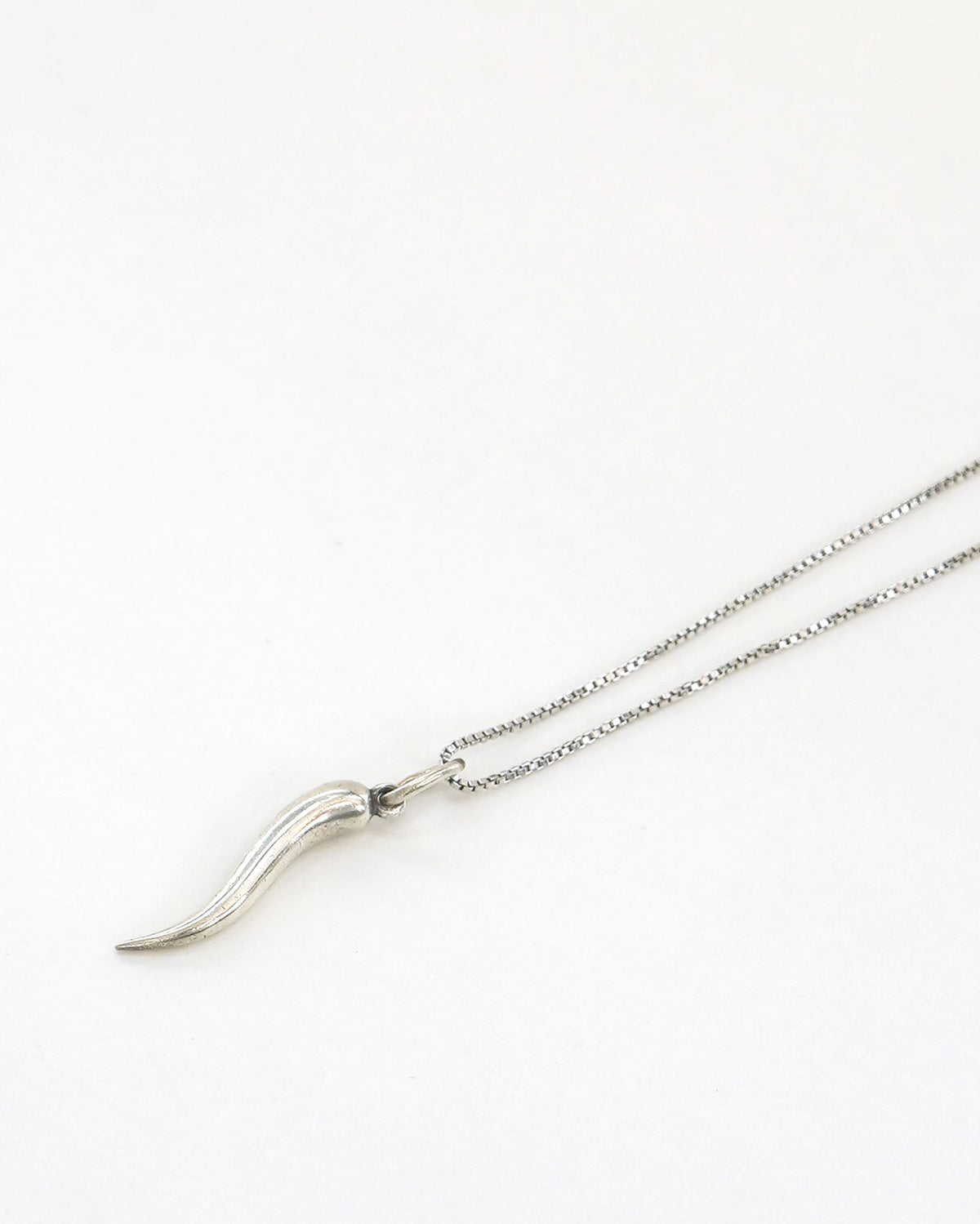 Silver Chain Necklace w/ Horn Charm