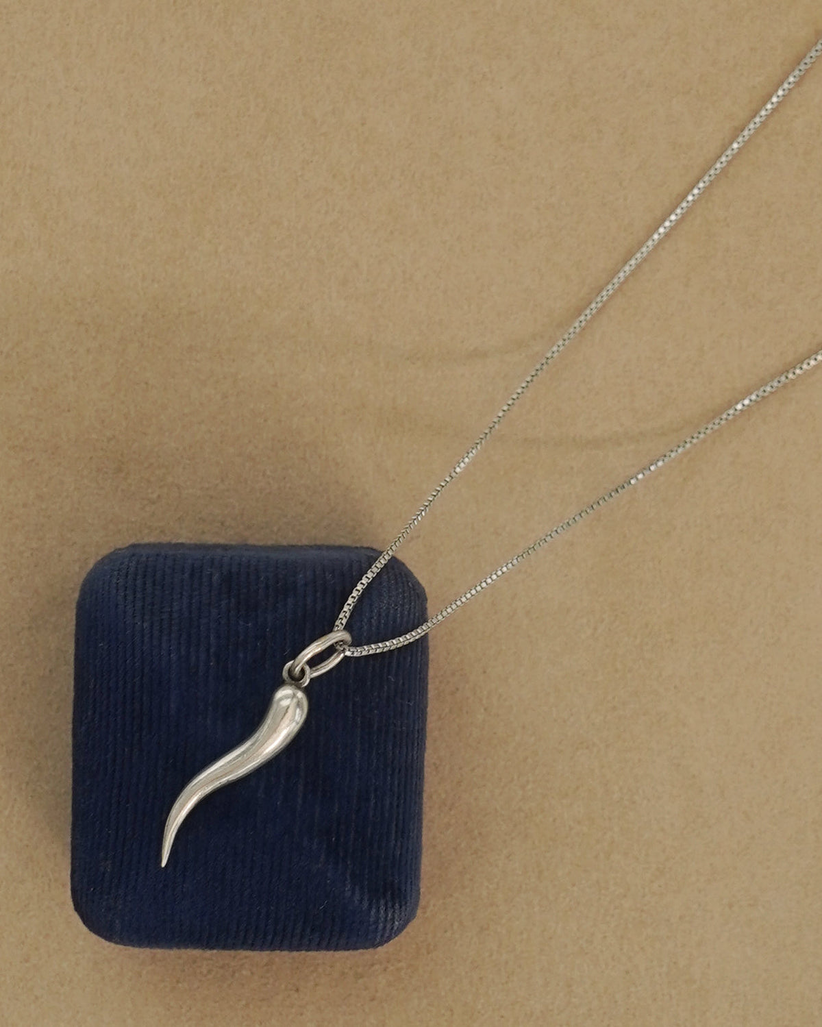 Silver Chain Necklace w/ Horn Charm