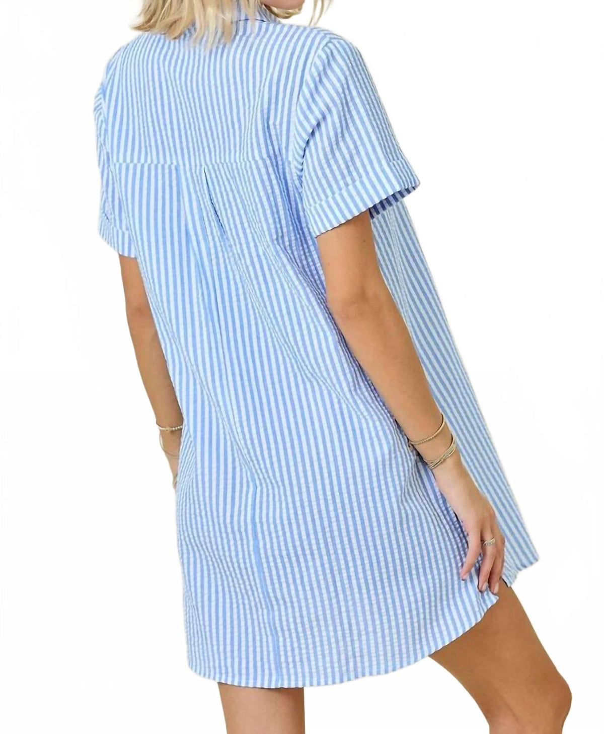 Desi Mini Dress In Blue