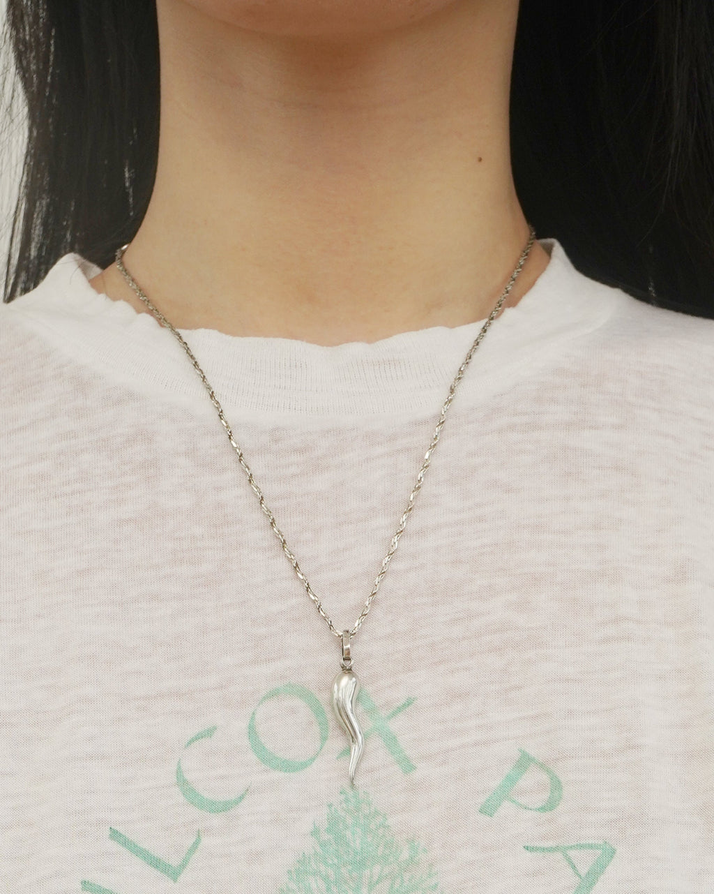 Silver Chain Necklace w/ Horn Charm