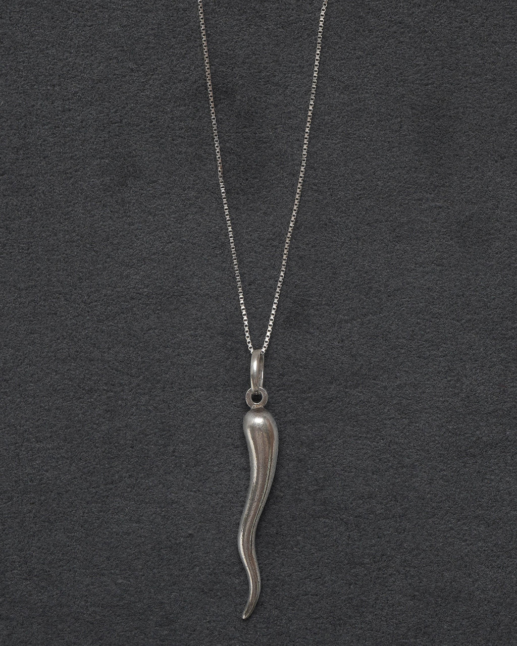 Silver Chain Necklace w/ Horn Charm