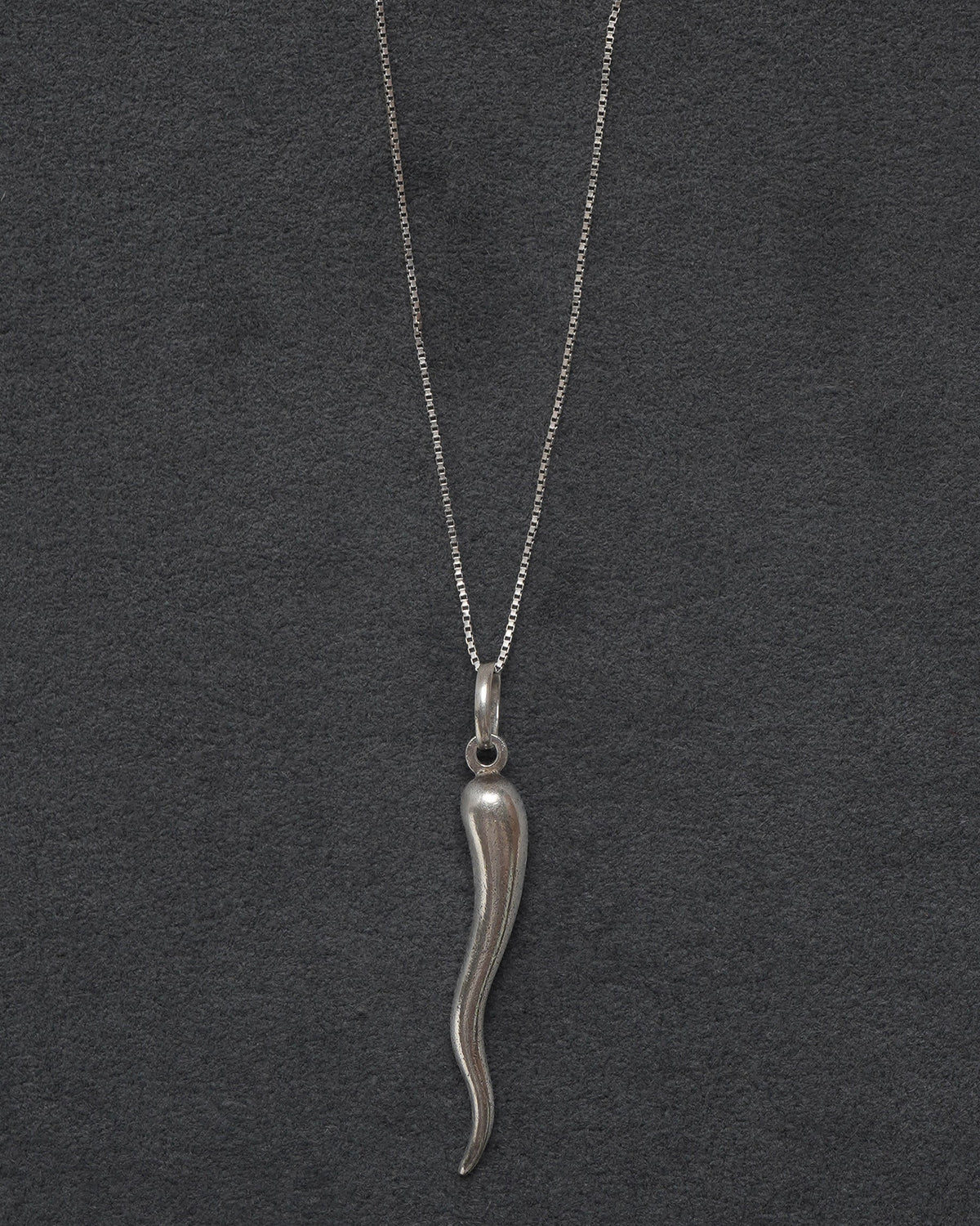 Silver Chain Necklace w/ Horn Charm