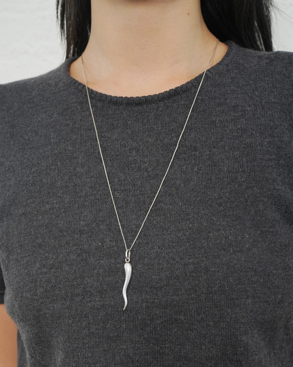 Silver Chain Necklace w/ Horn Charm