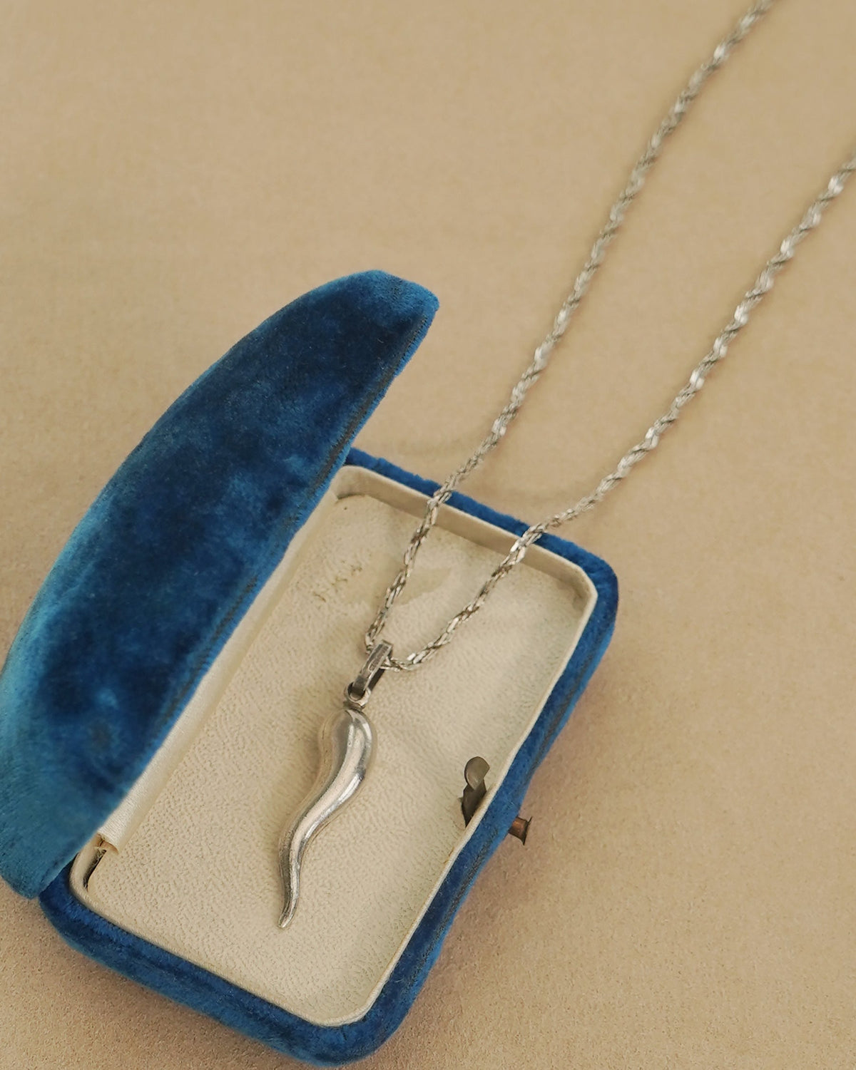 Silver Chain Necklace w/ Horn Charm