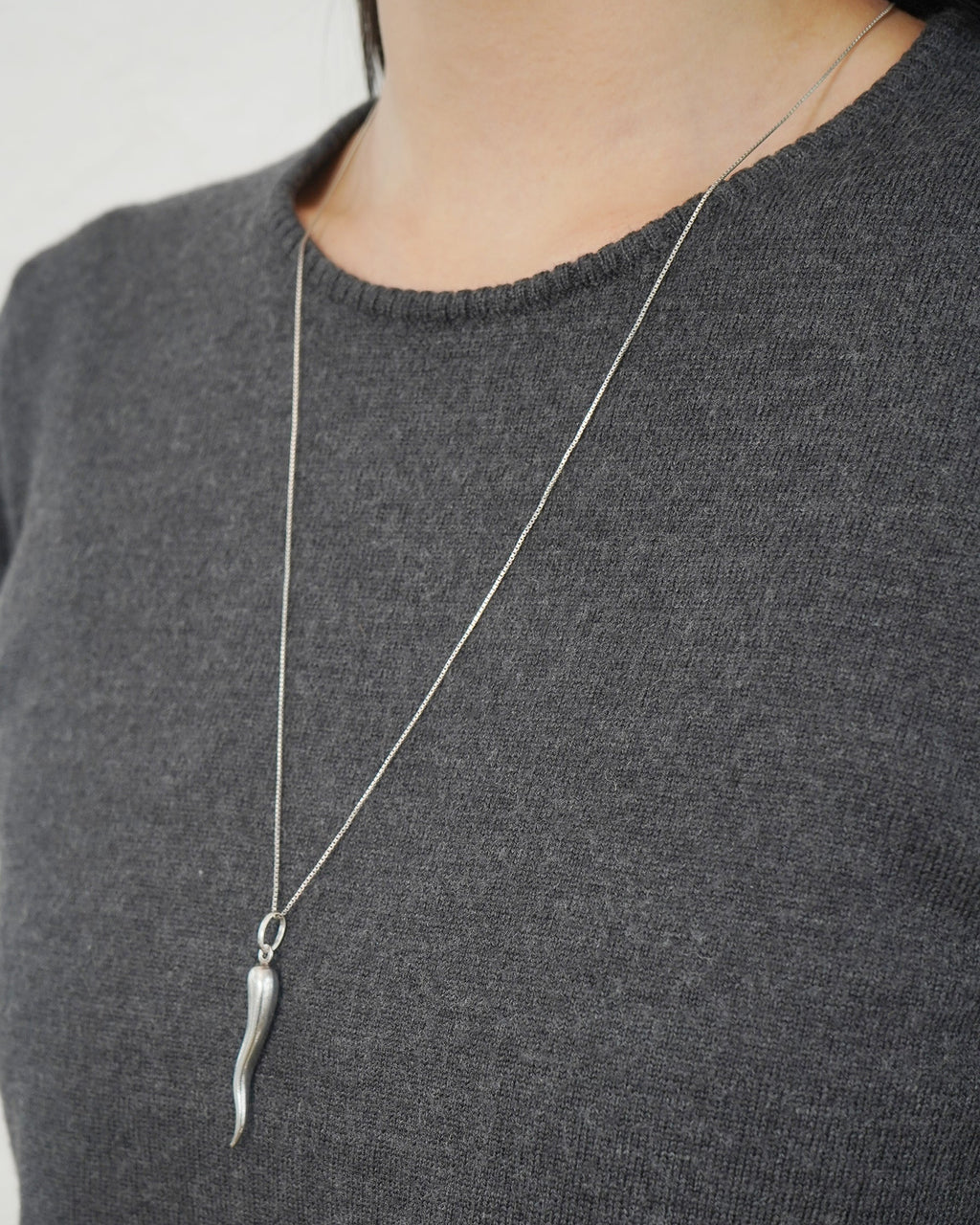 Silver Chain Necklace w/ Horn Charm