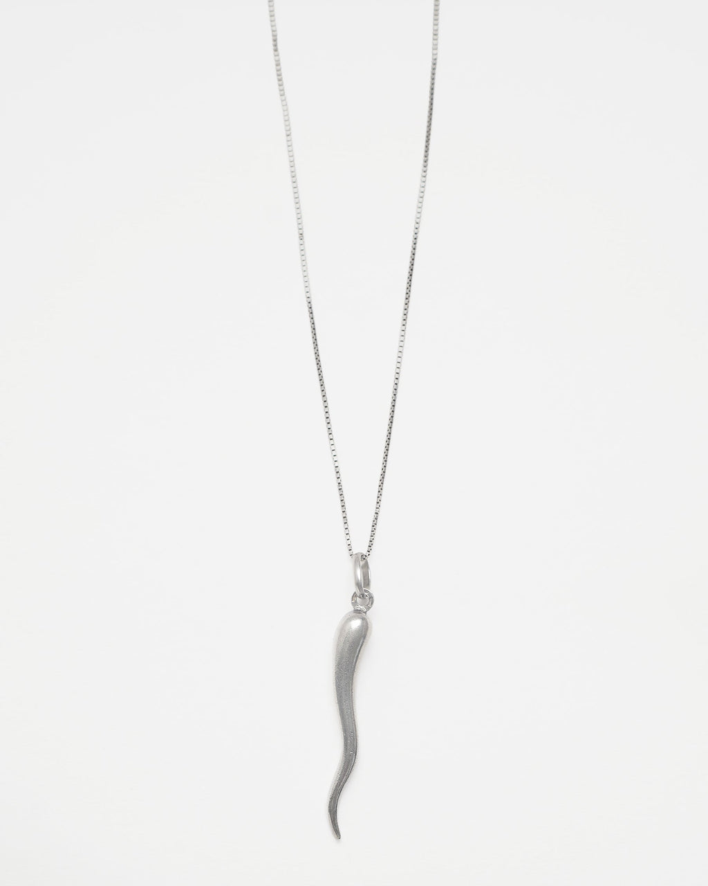 Silver Chain Necklace w/ Horn Charm