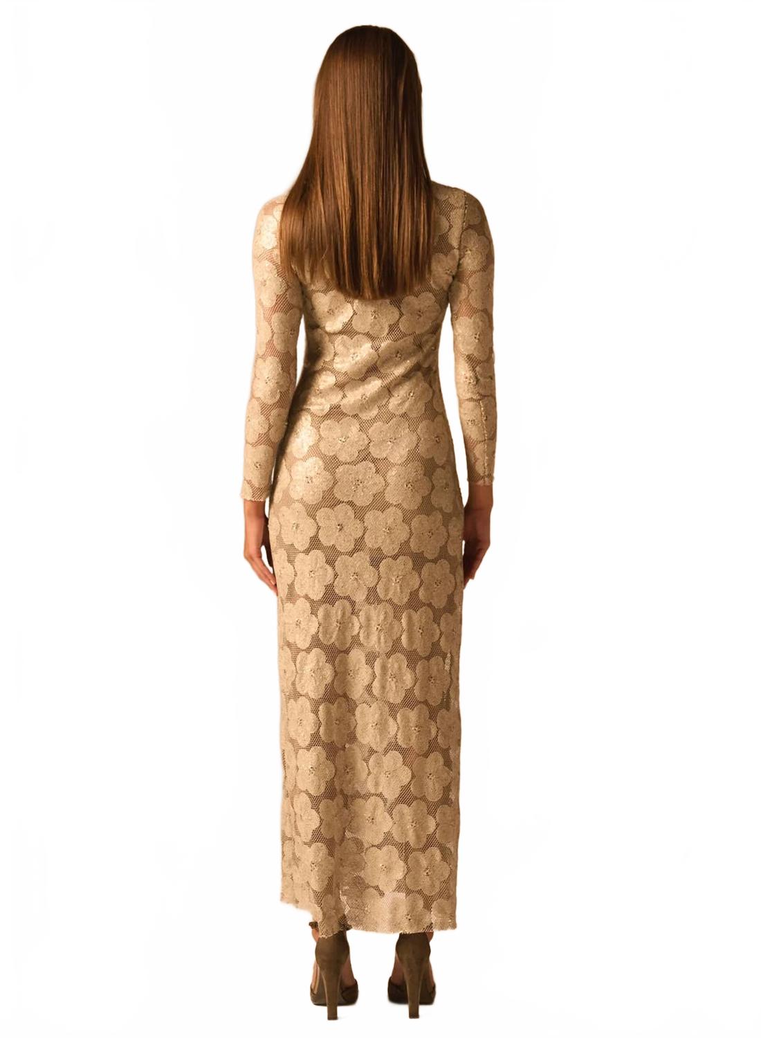 Petra Sequin Sheer Floral Lace Maxi Dress In Champagne