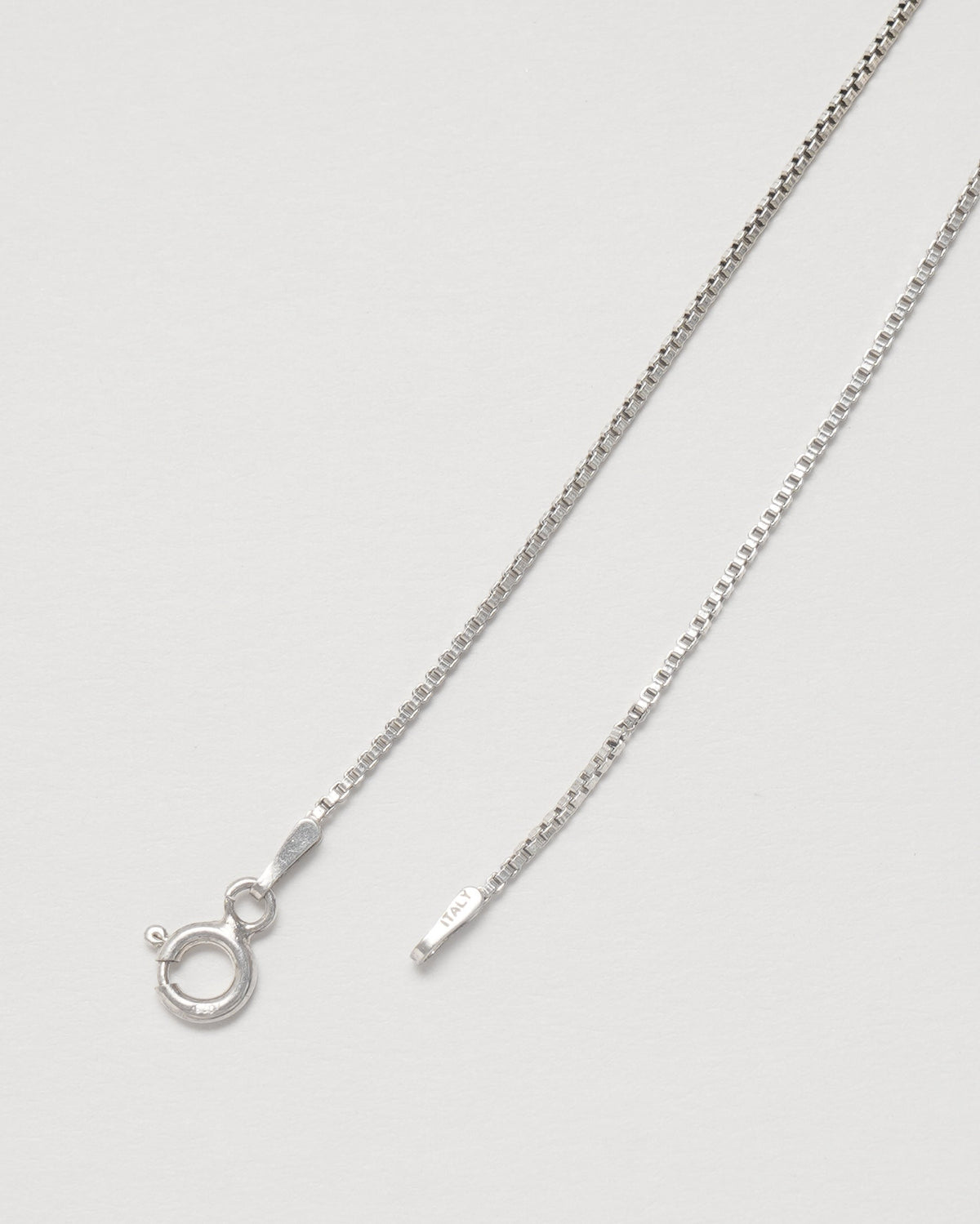 Silver Chain Necklace w/ Horn Charm
