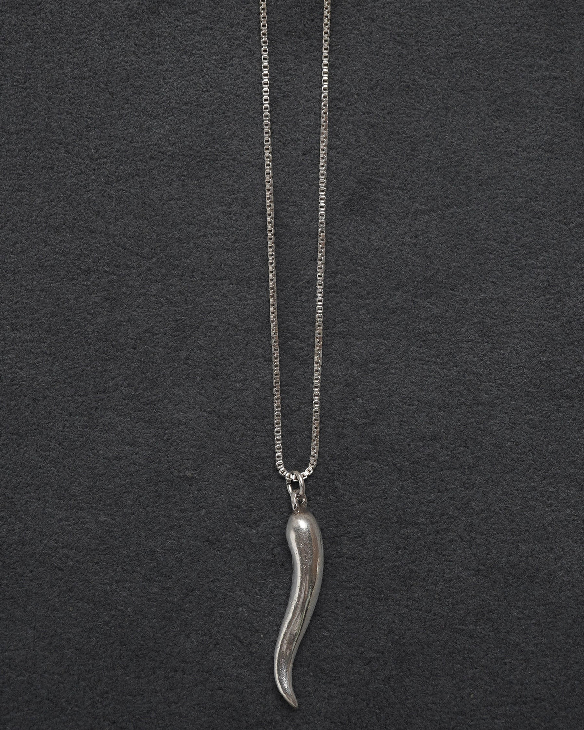Silver Chain Necklace w/ Horn Charm