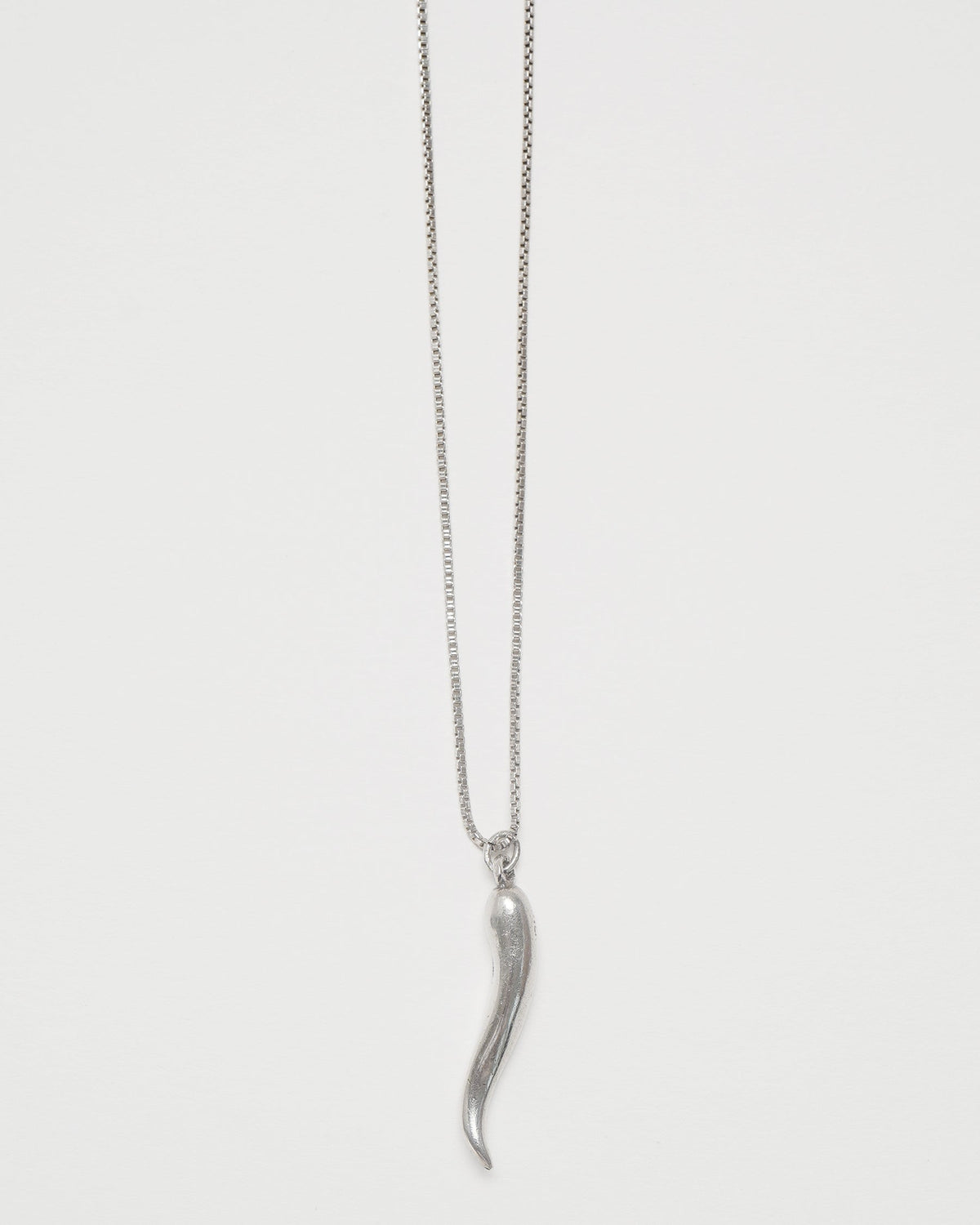 Silver Chain Necklace w/ Horn Charm