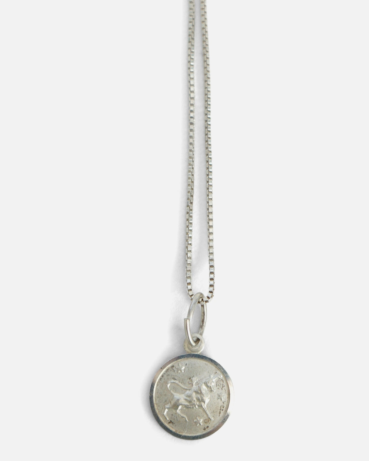 Silver Chain Necklace w/ Capricorn Charm
