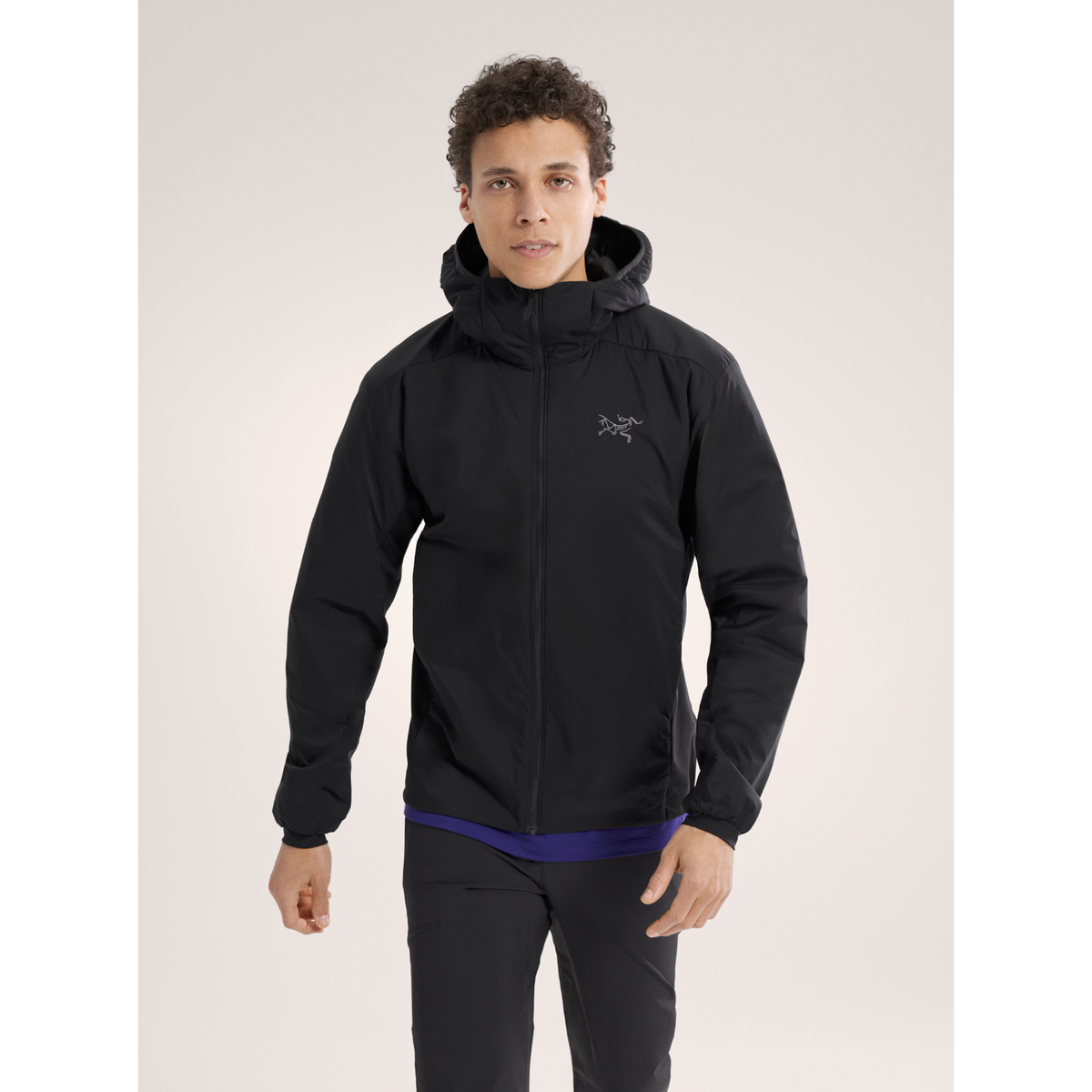 Arc'teryx Men's Atom Hoody