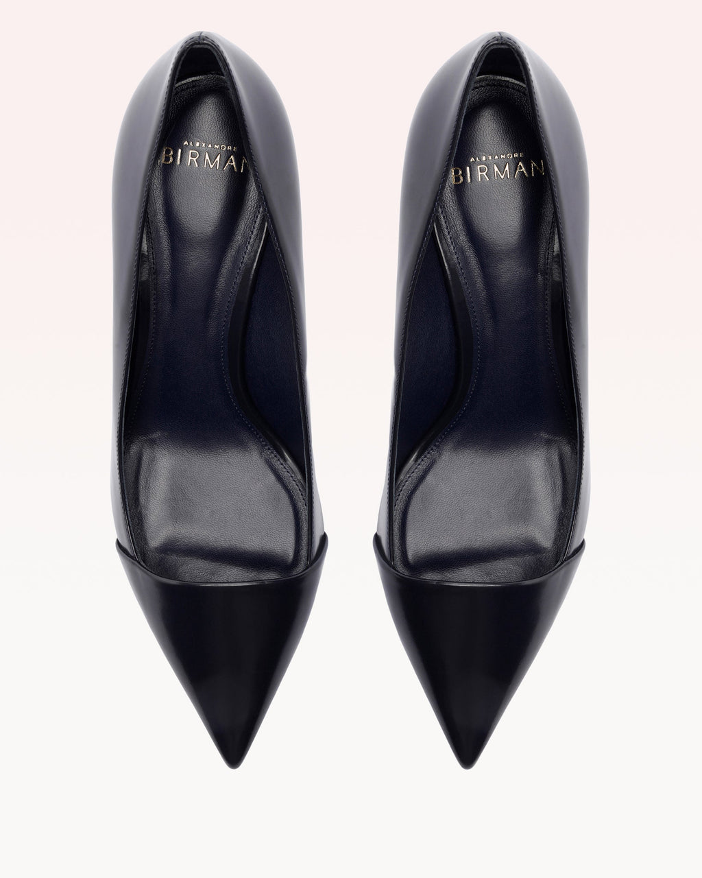 Minerva Pump 60 Oceana