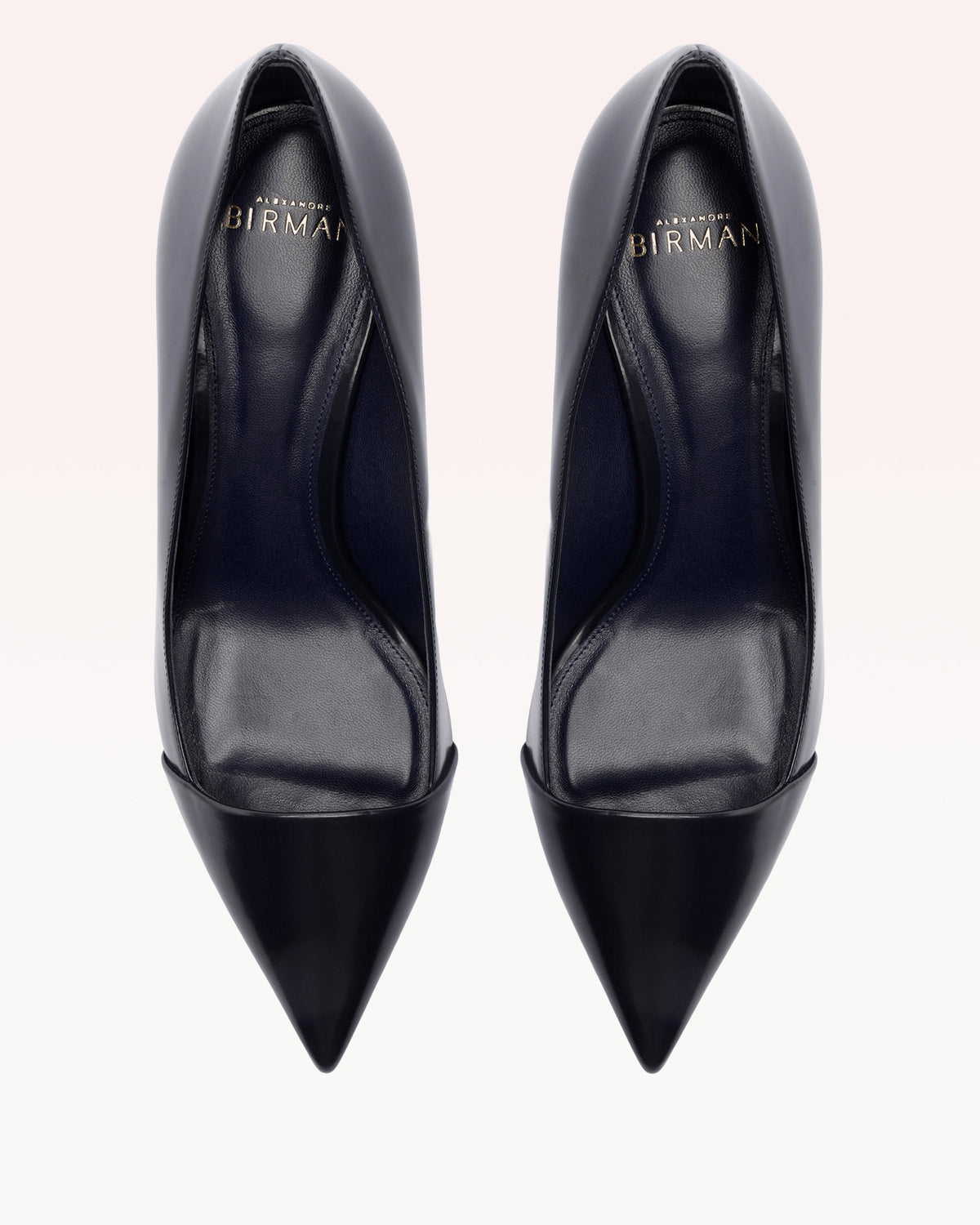 Minerva Pump 60 Oceana