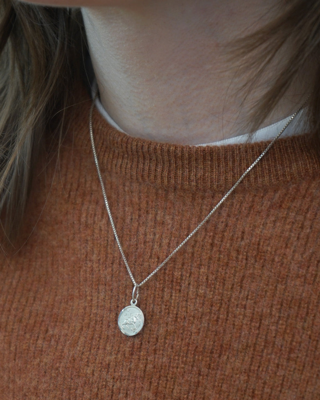 Silver Chain Necklace w/ Capricorn Charm