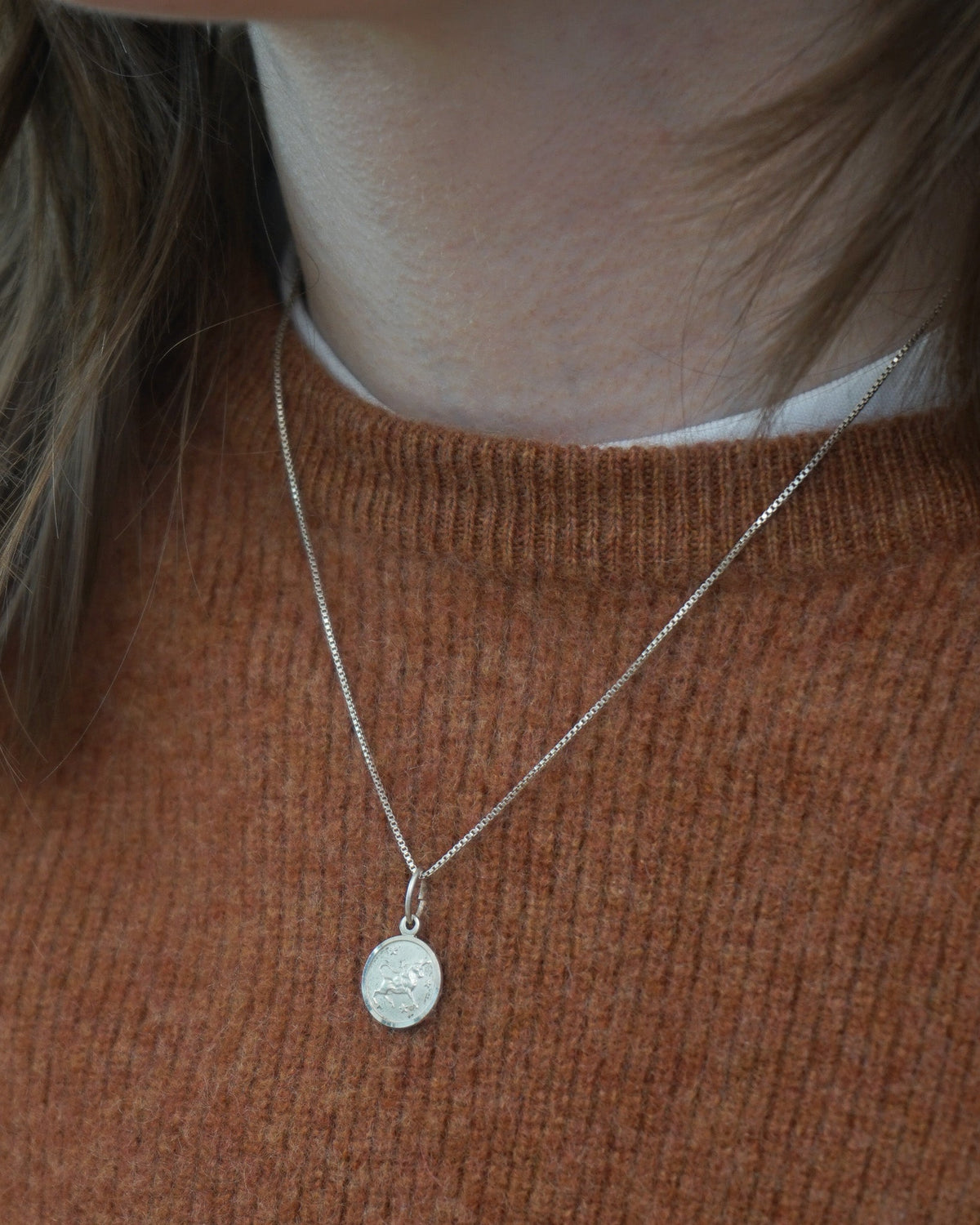 Silver Chain Necklace w/ Capricorn Charm