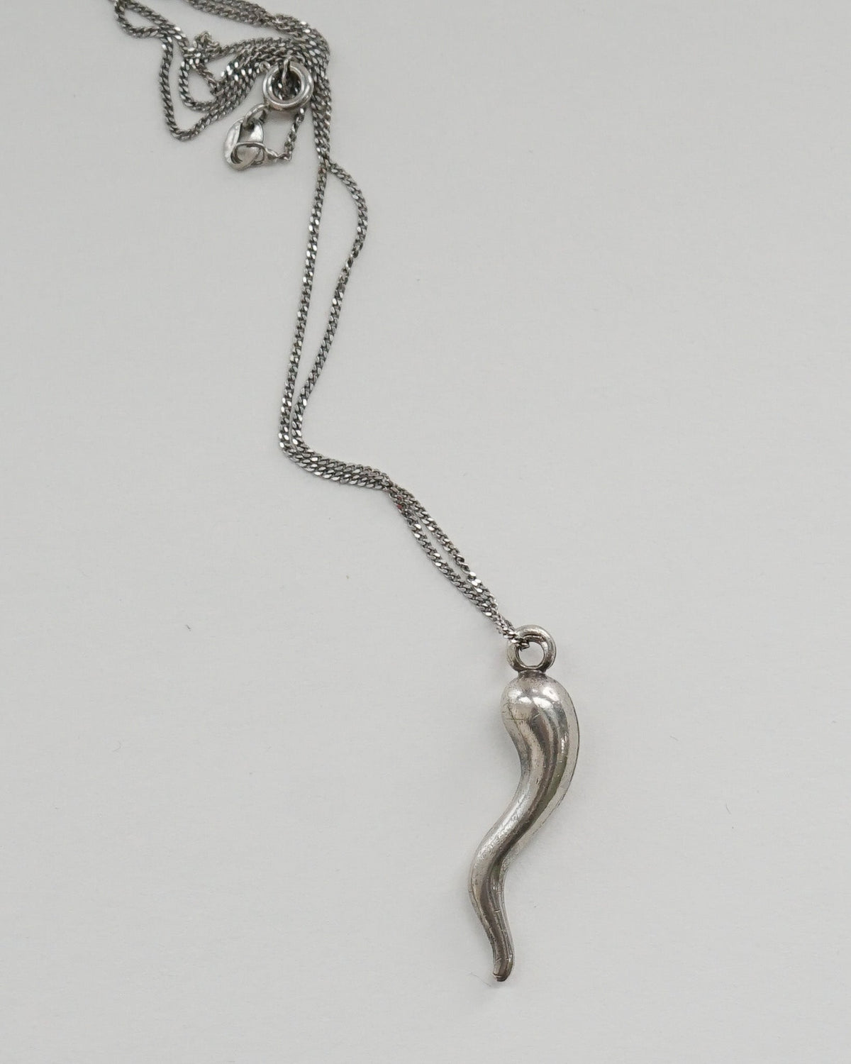 Silver Chain Necklace w/ Horn Charm
