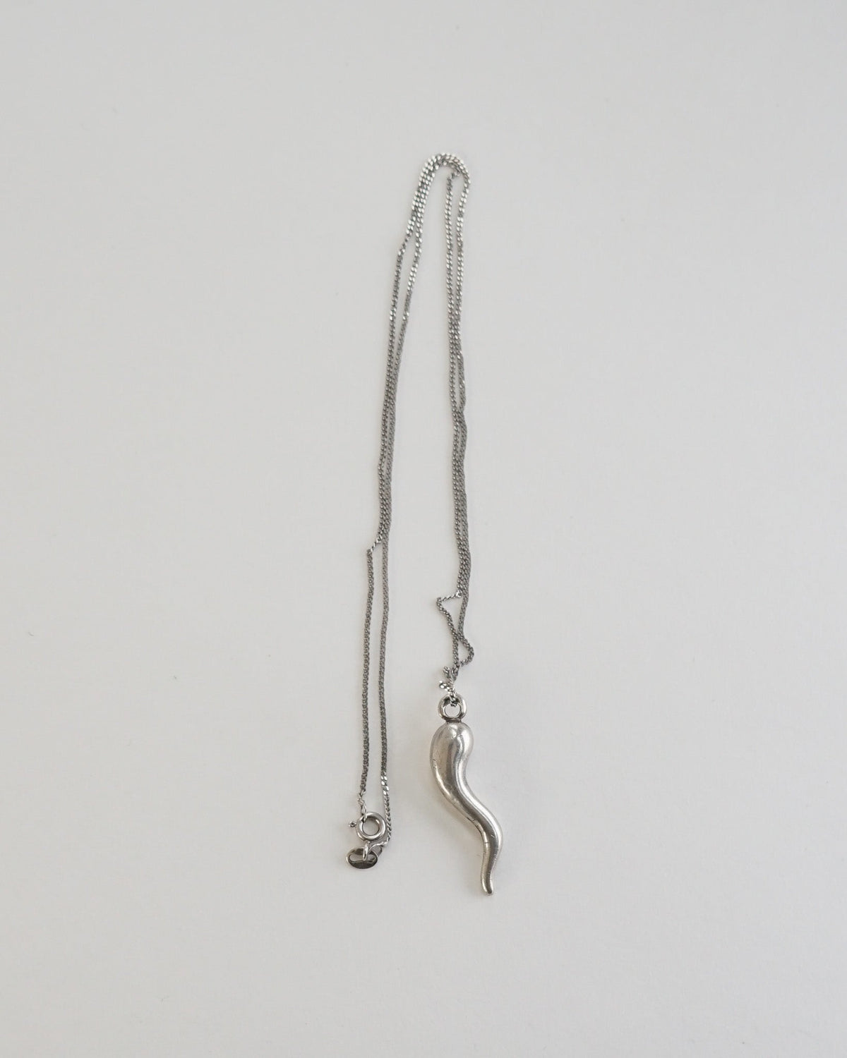 Silver Chain Necklace w/ Horn Charm