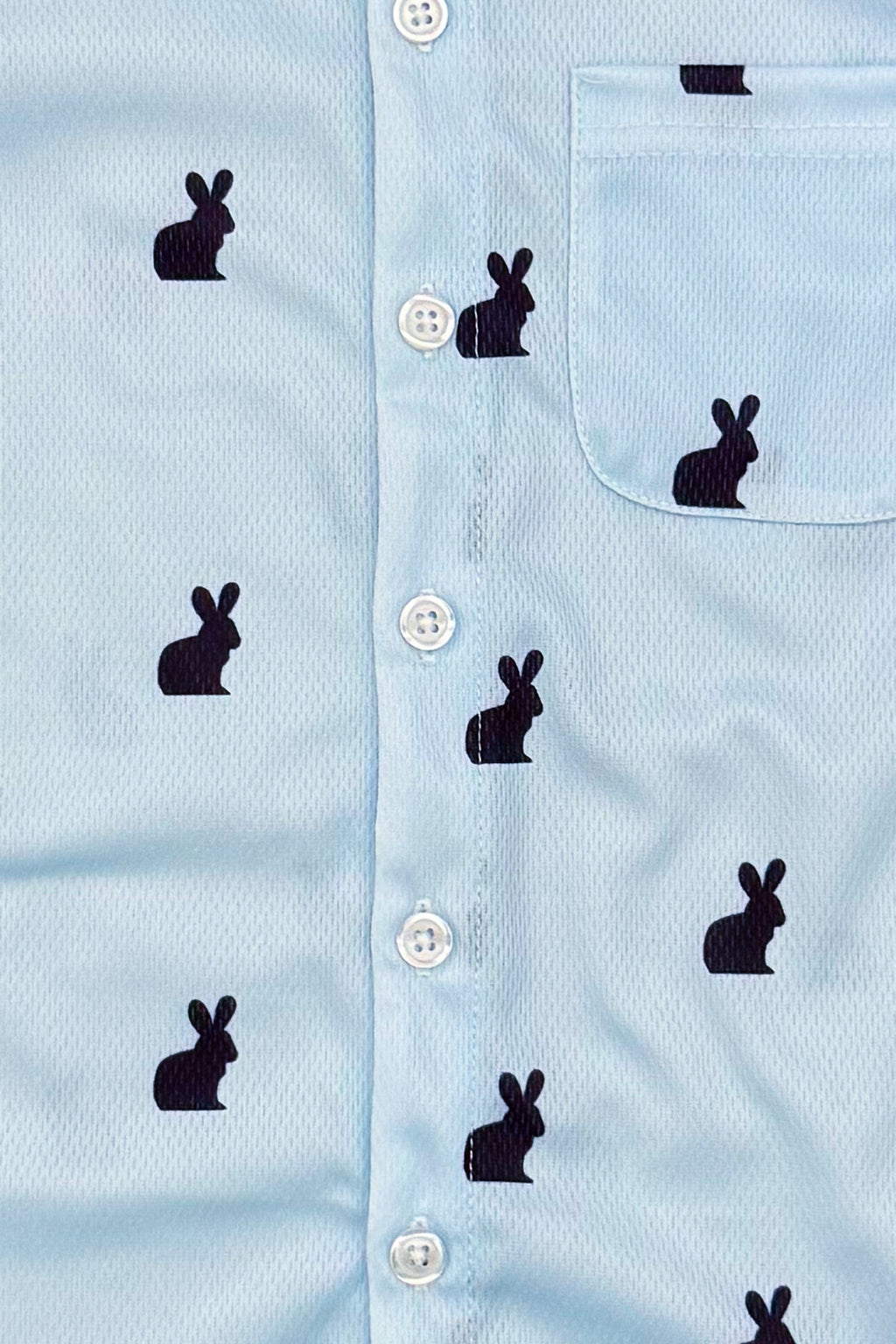 Blue Bunny Button Down