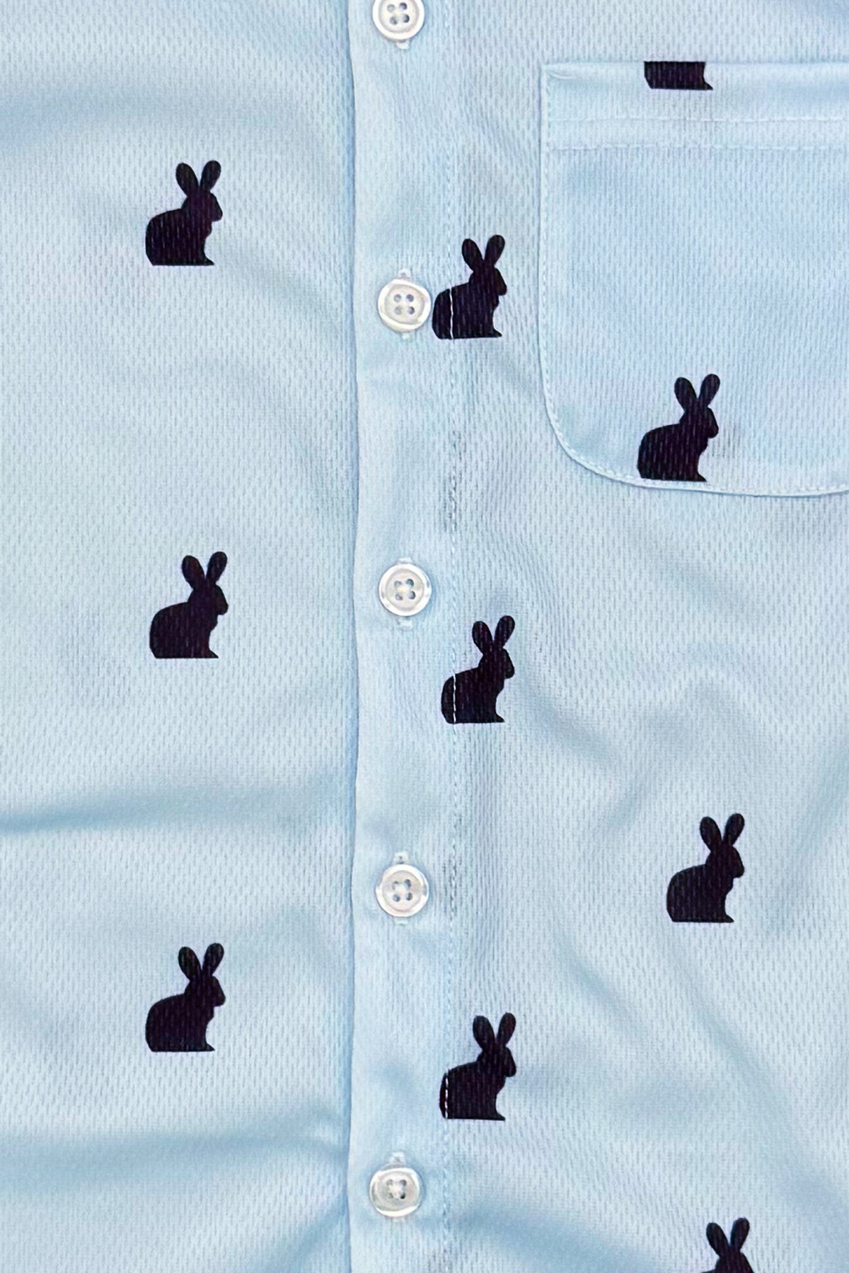 Blue Bunny Button Down