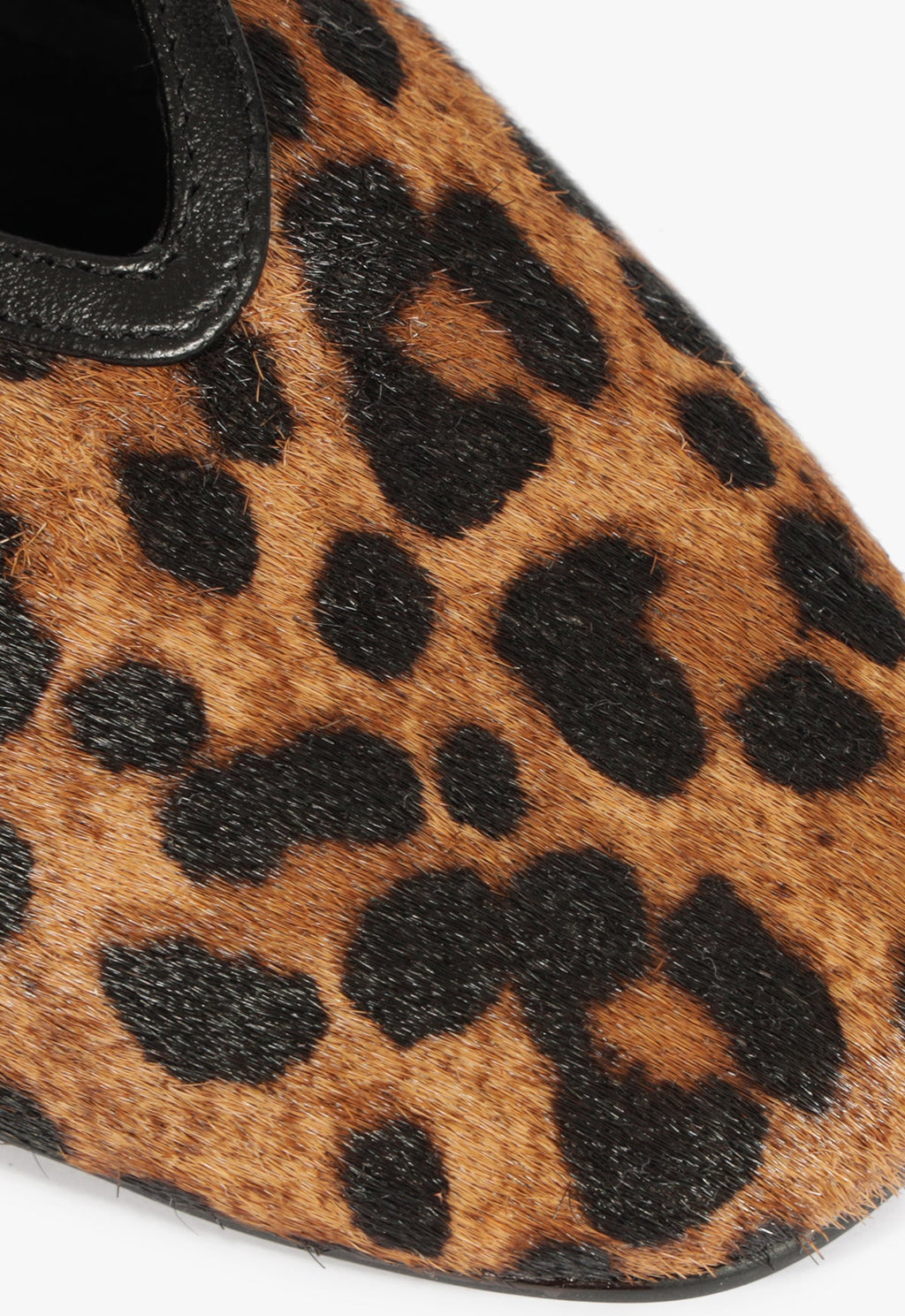 Courtney Buckle Hair Calf Flat
