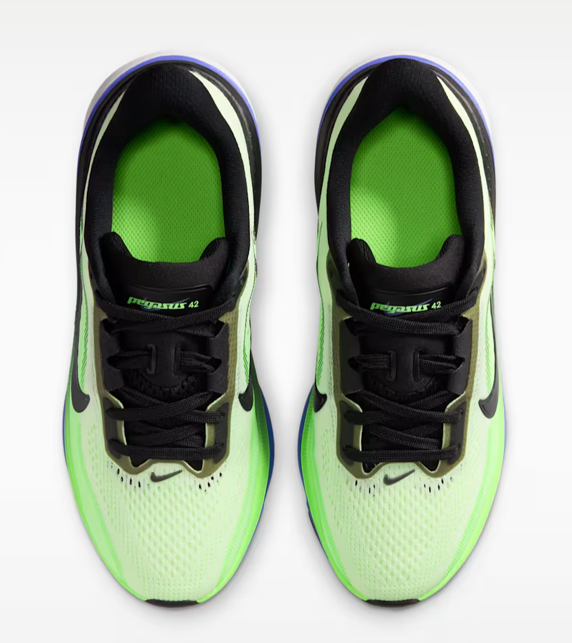 Youth Nike Air Zoom Pegasus 42 (GS)