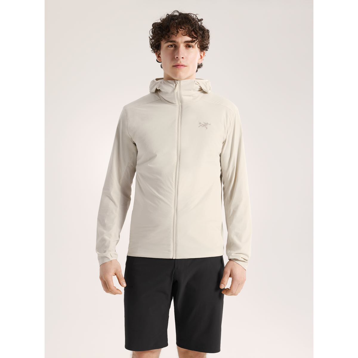 Arc'teryx Men's Atom SL Hoody
