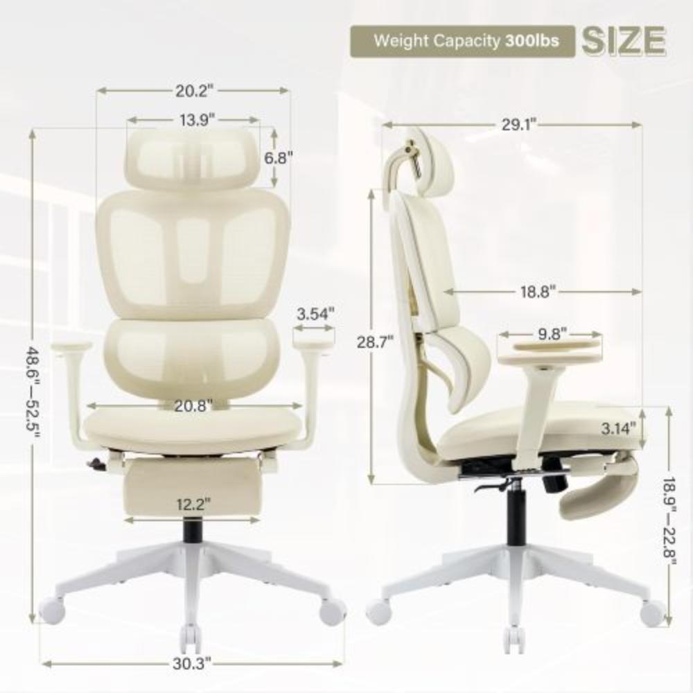 High-Back Mesh Office Chair with Lumbar Support