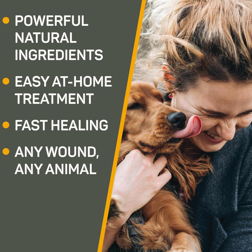 Absorbine Silver Honey Hot Spot & Wound Care Ointment 2 oz