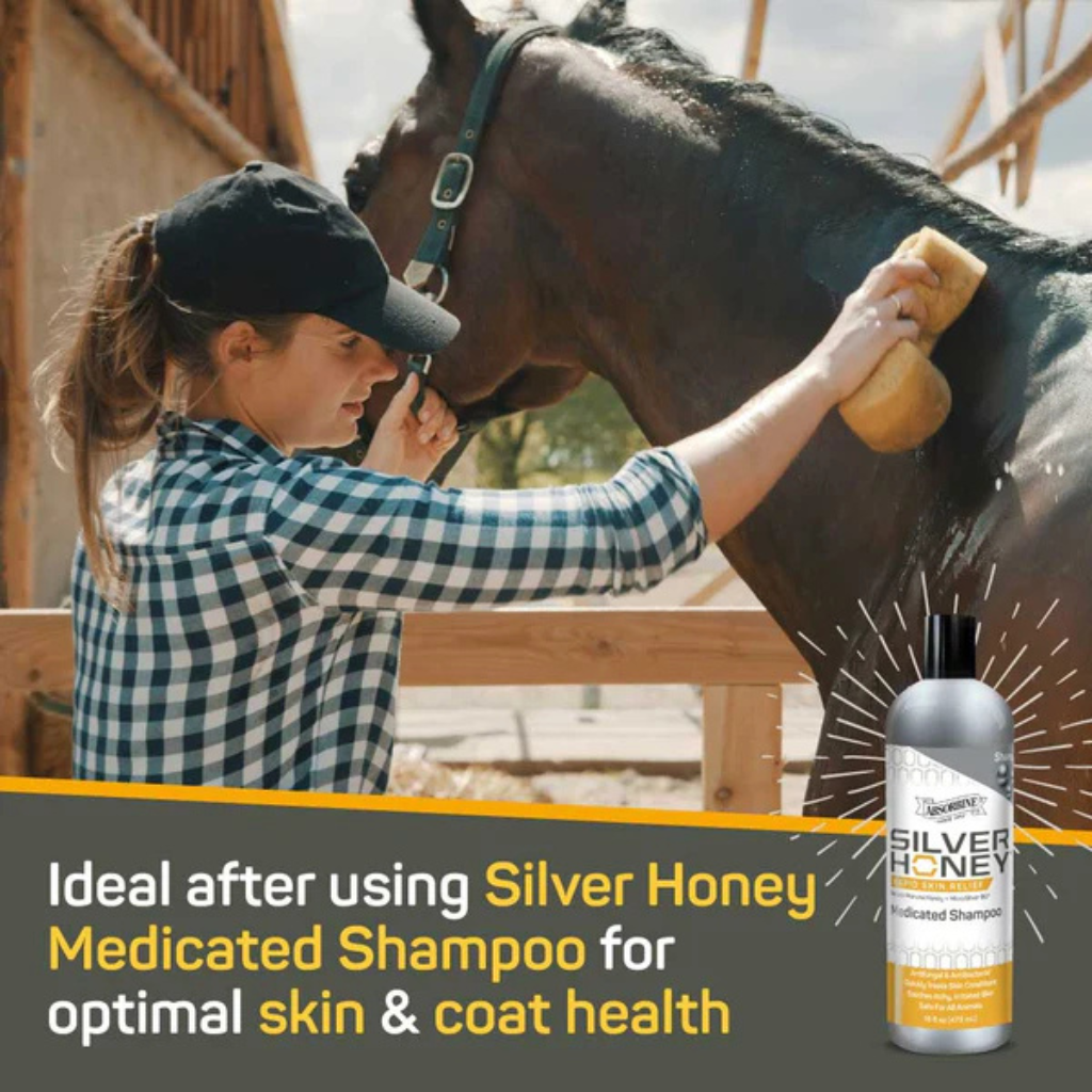 Absorbine Silver Honey Rapid Skin Relief Sooth Conditioner (16 oz)