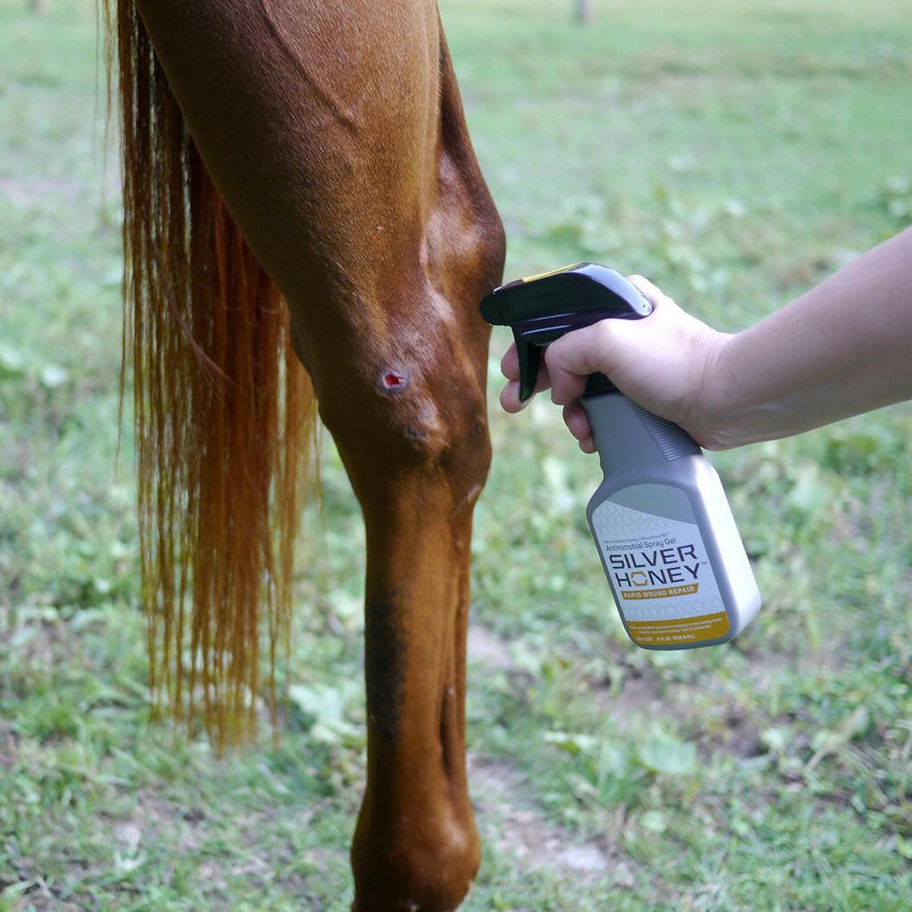 Absorbine Silver Honey Rapid Wound Repair Spray Gel 8 oz