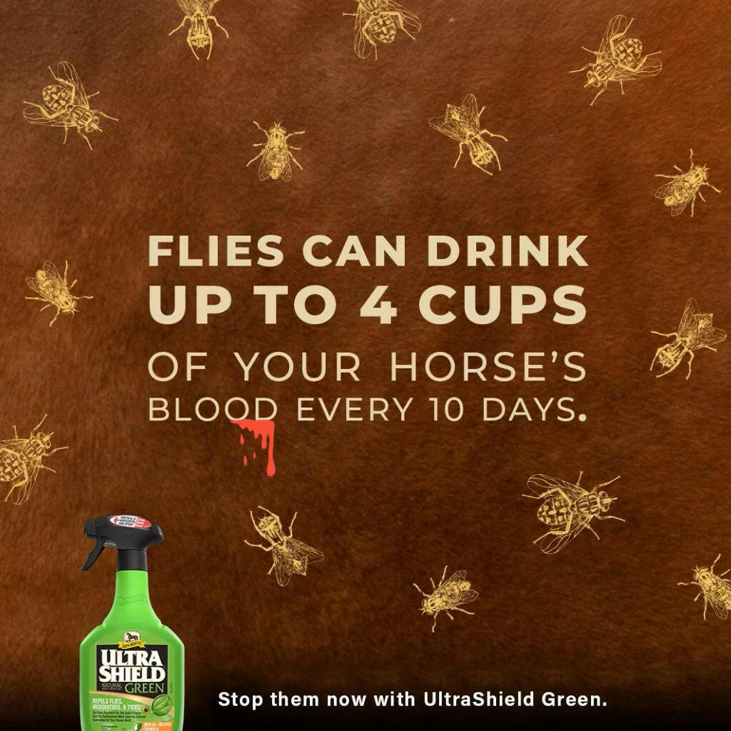 Absorbine Ultrashield Green Natural Fly Repellent for Horses