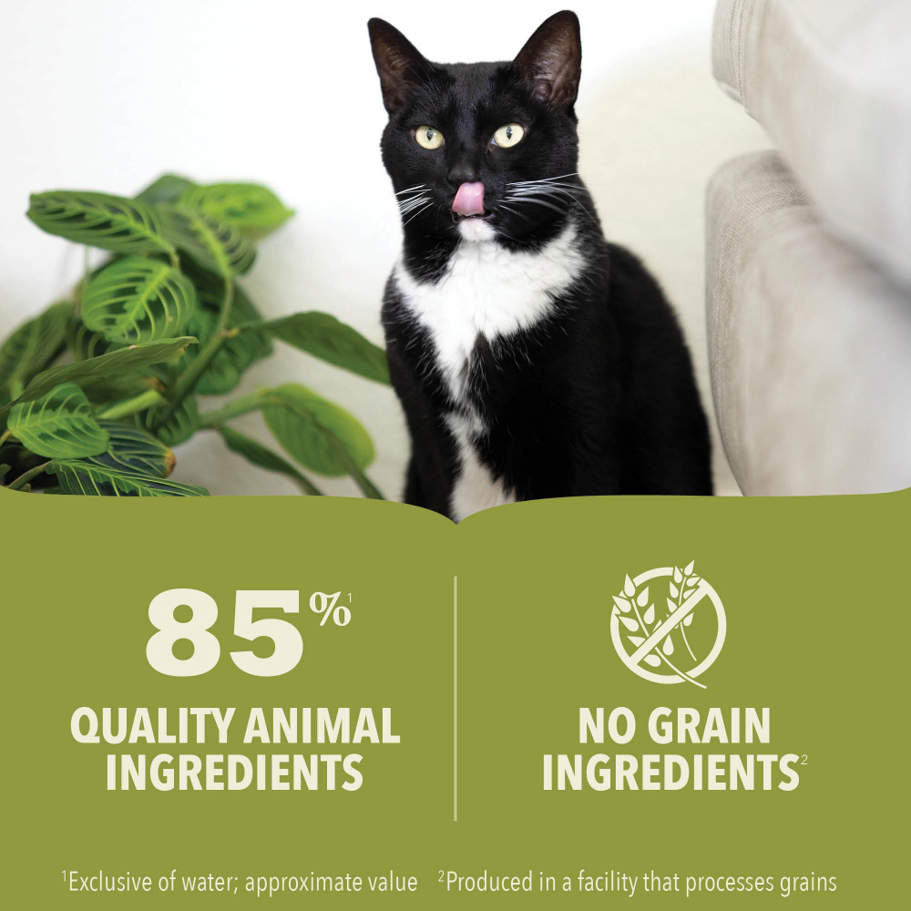ACANA Beef & Chicken & Tuna in Bone Broth Wet Cat Food