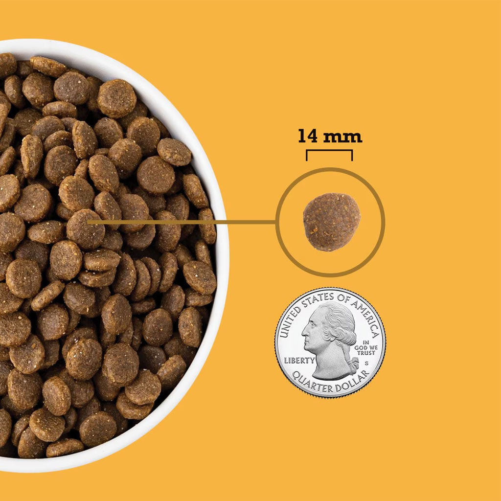 ACANA Free Run Poultry Grain-Free Dry Dog Food