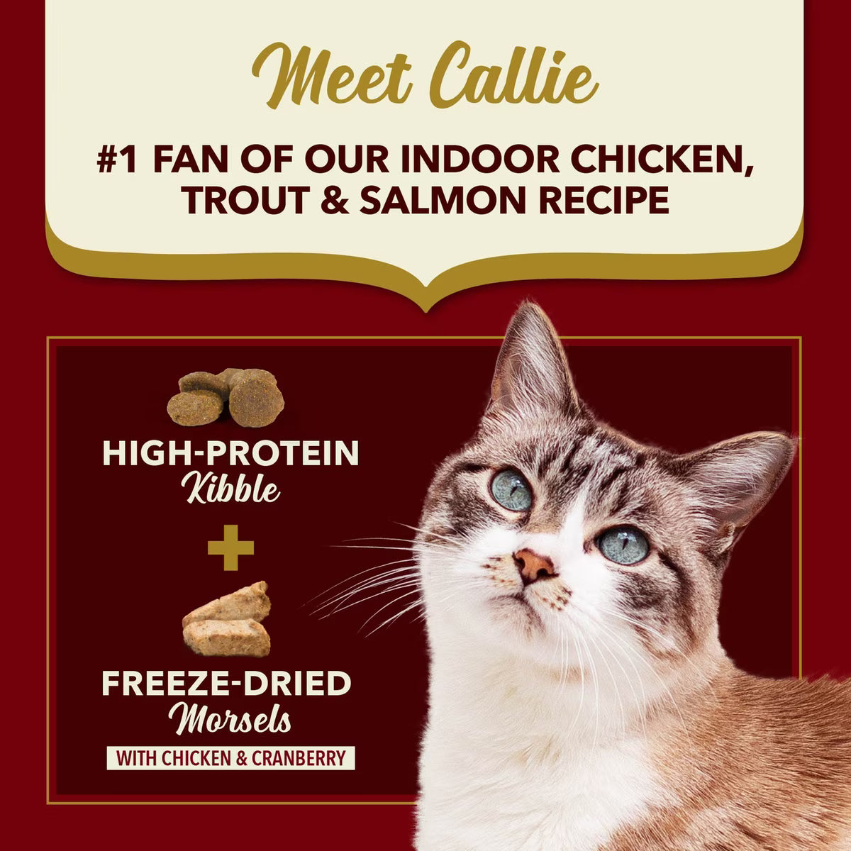 Acana Market Medley Chicken, Trout & Salmon Recipe Dry Cat Food