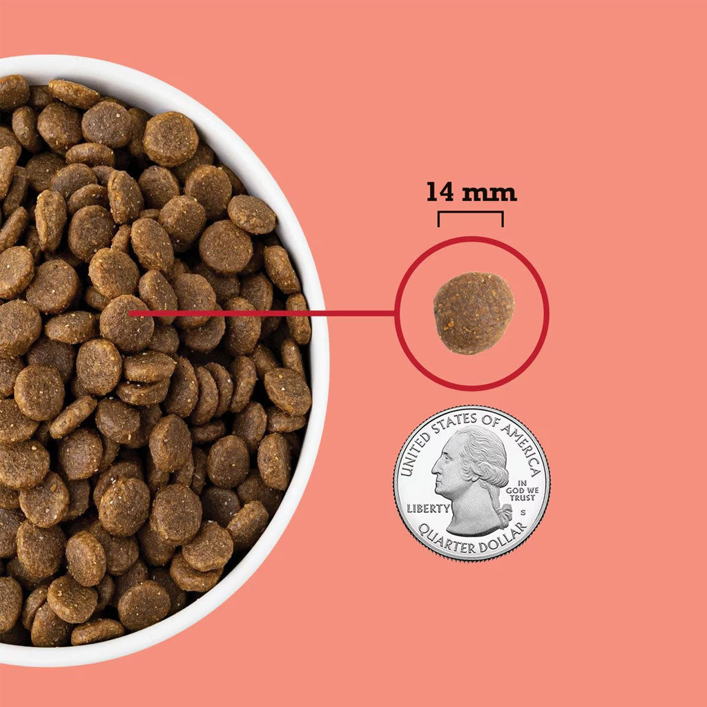 ACANA Red Meat Grain-Free Dry Dog Food